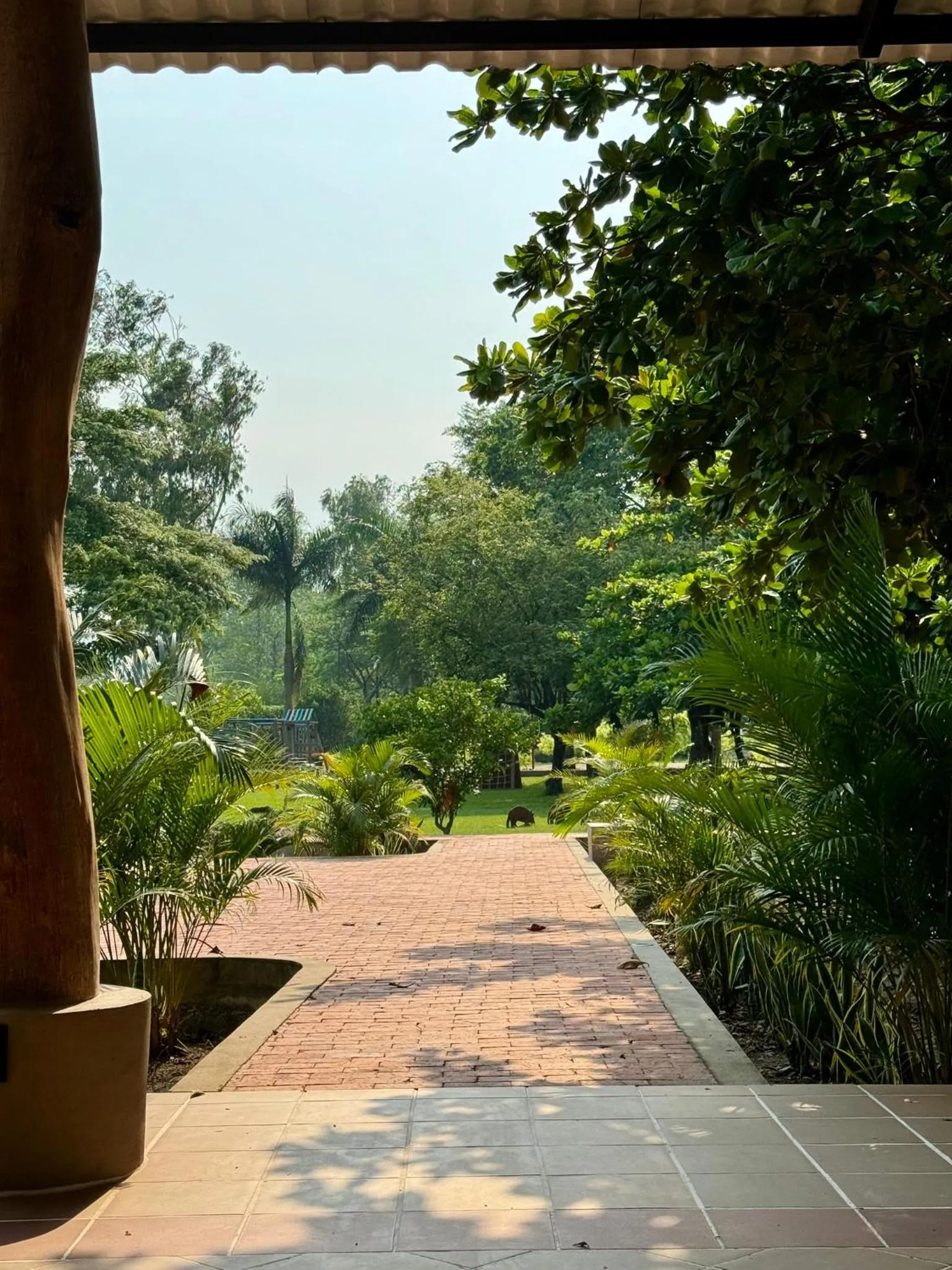 Garden in Hotel Morúa
