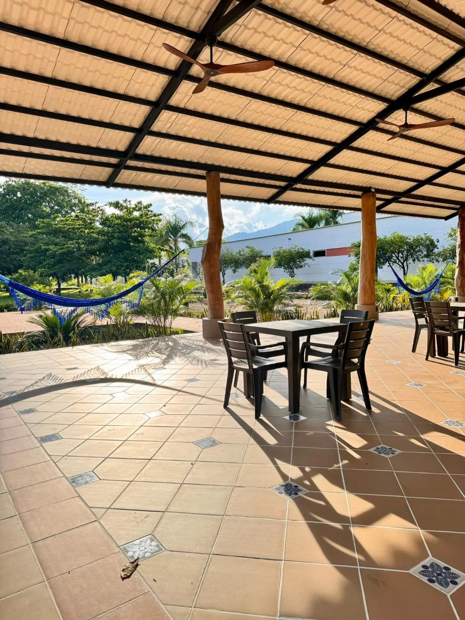 Garden in Hotel Morúa