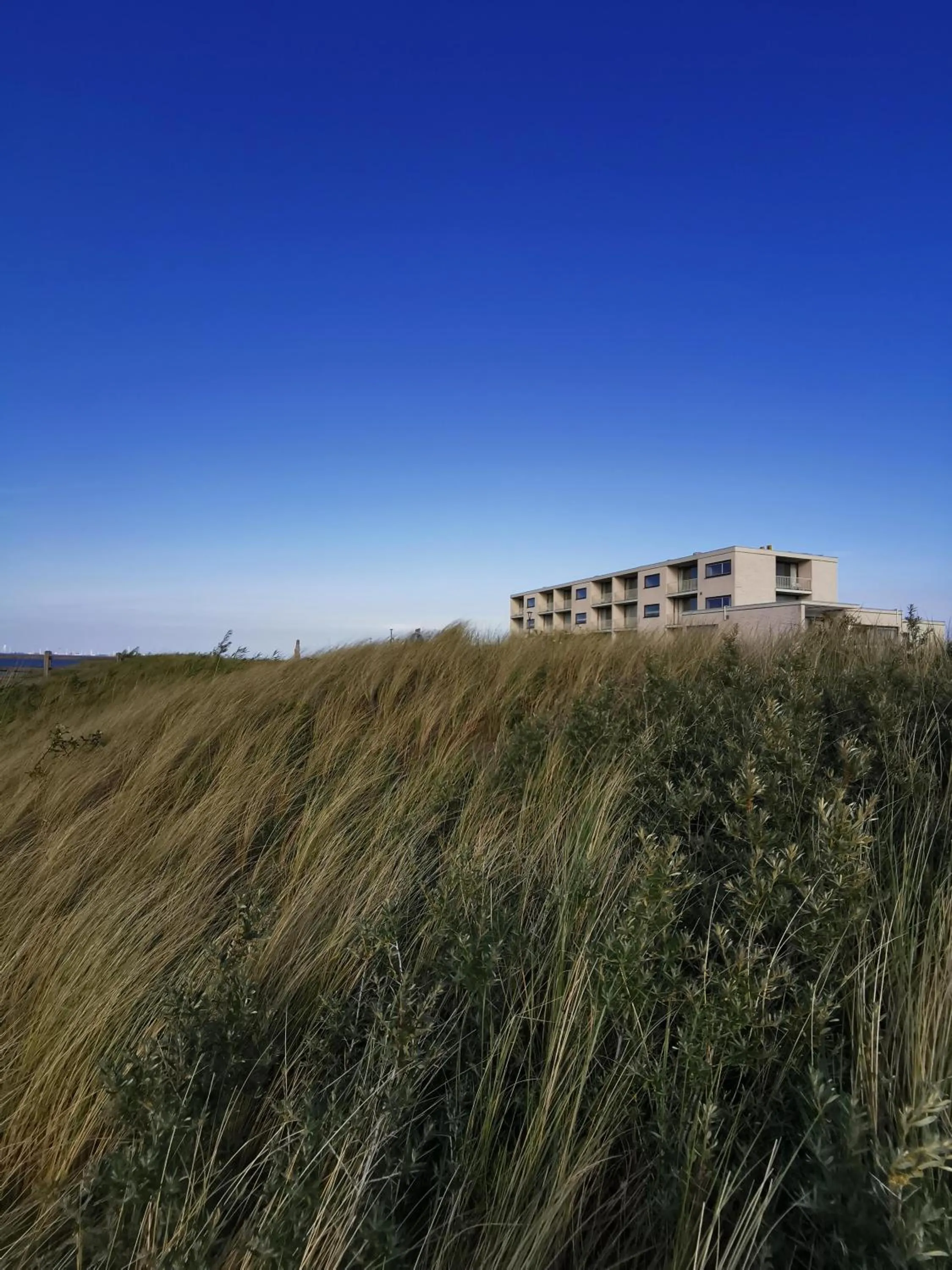 Property building in Hotel de Milliano