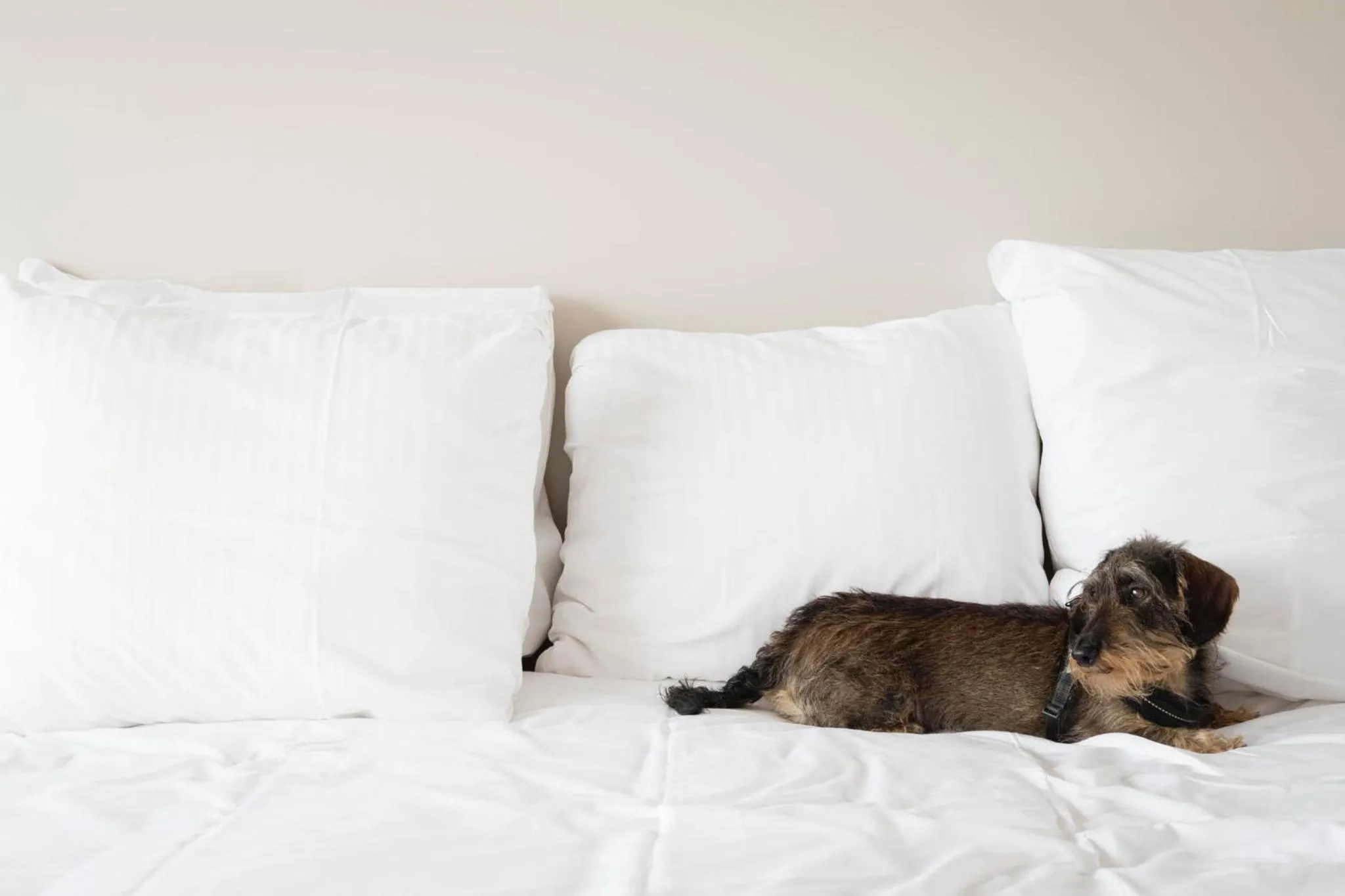Bed in Hotel de Milliano