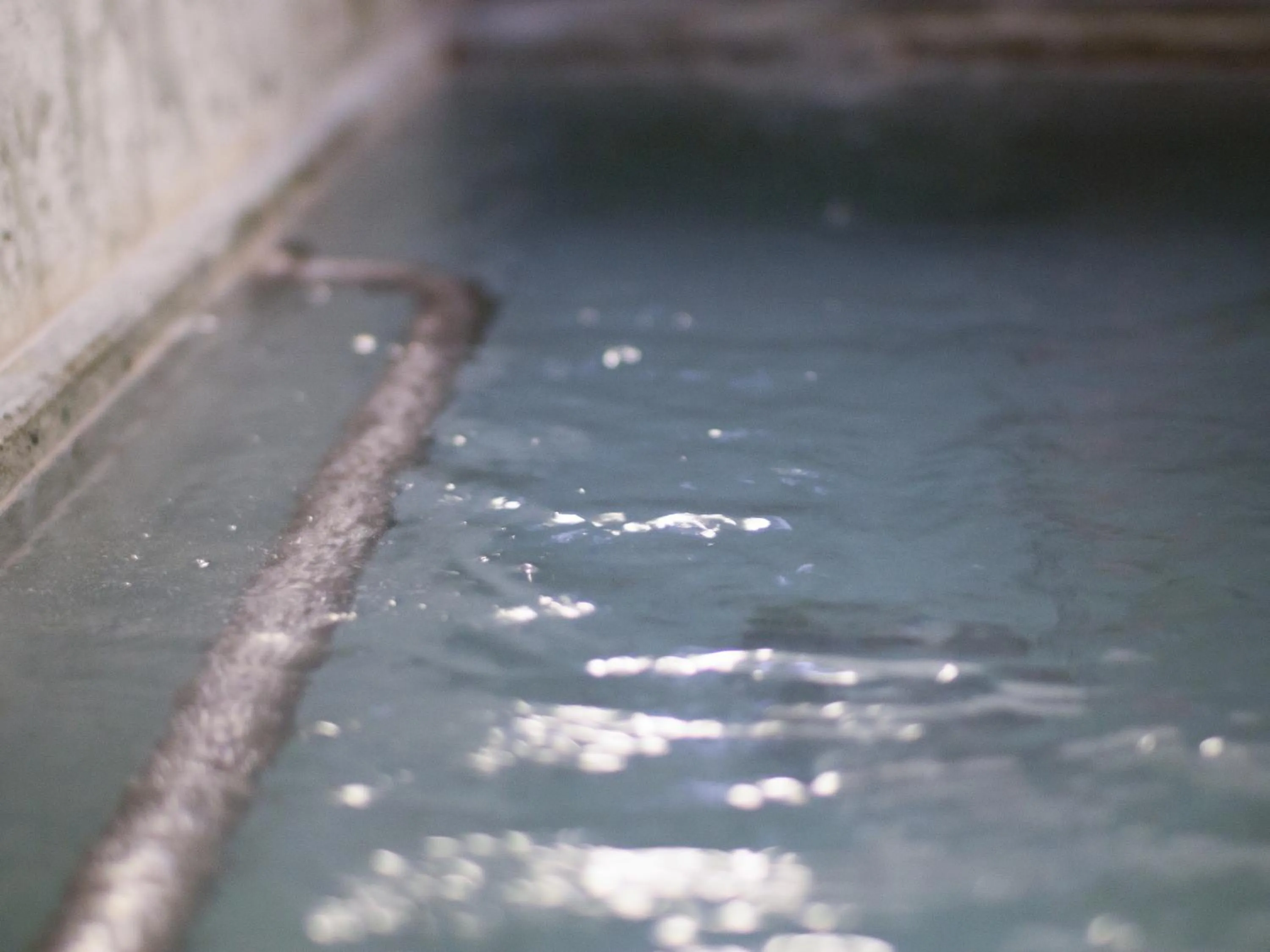 Public Bath in Super Hotel Tokyo JR Tachikawa Kitaguchi