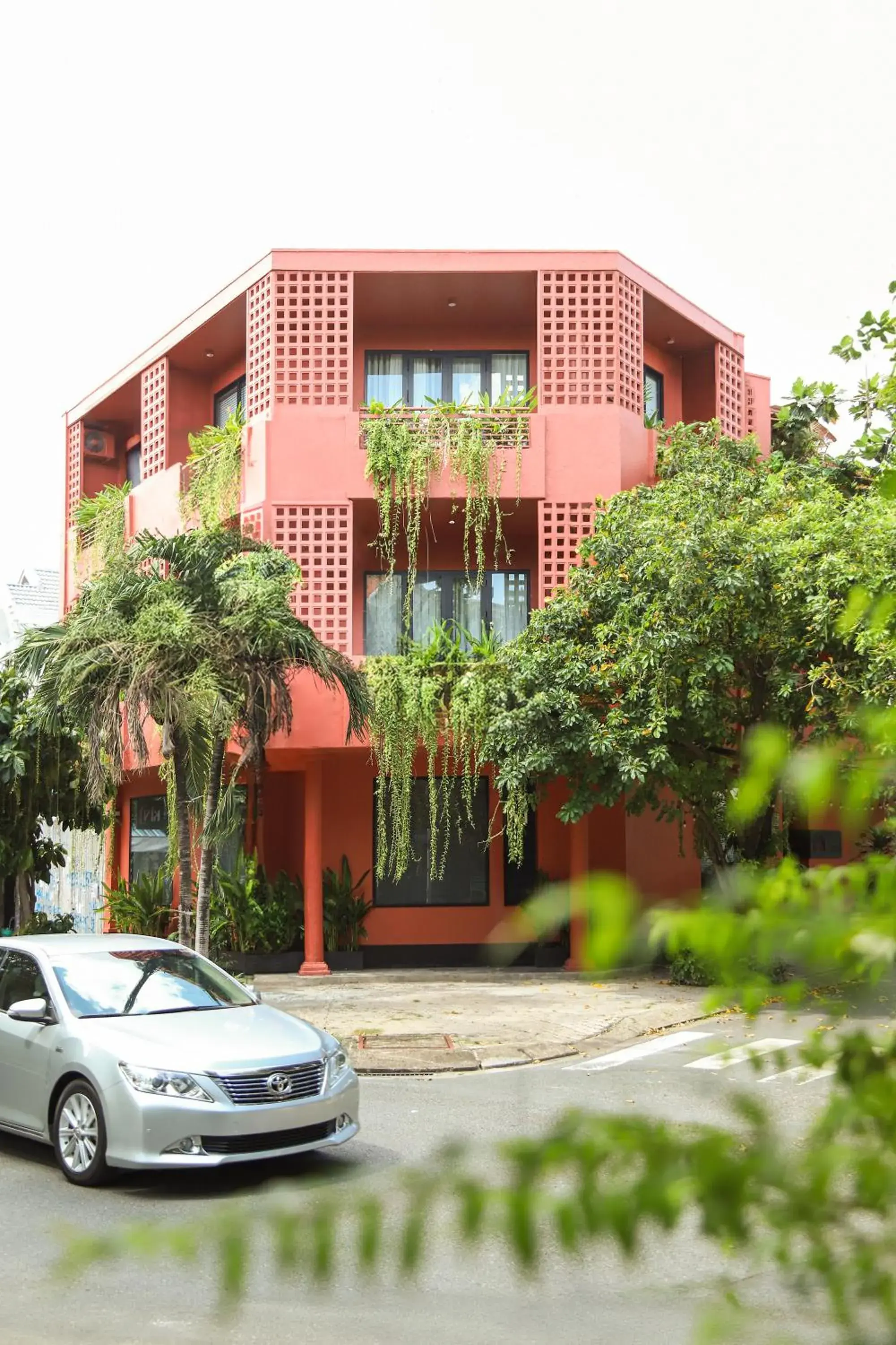 Kin Wander Tân Phong, The Moonage Kin Wander Tân Phong, The Moonage