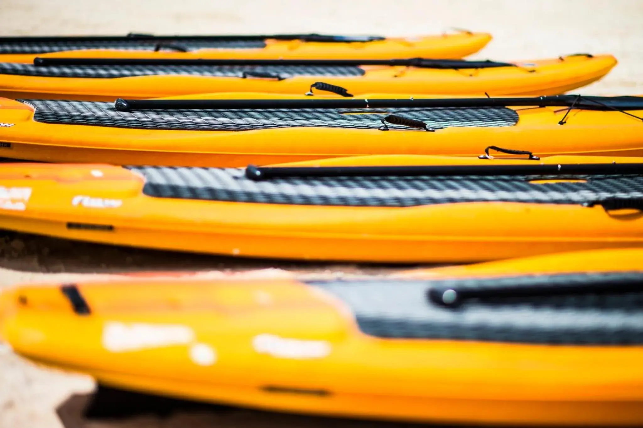 Fitness centre/facilities in The Explorean Cozumel All Inclusive Fitness centre/facilities in The Explorean Cozumel All Inclusive