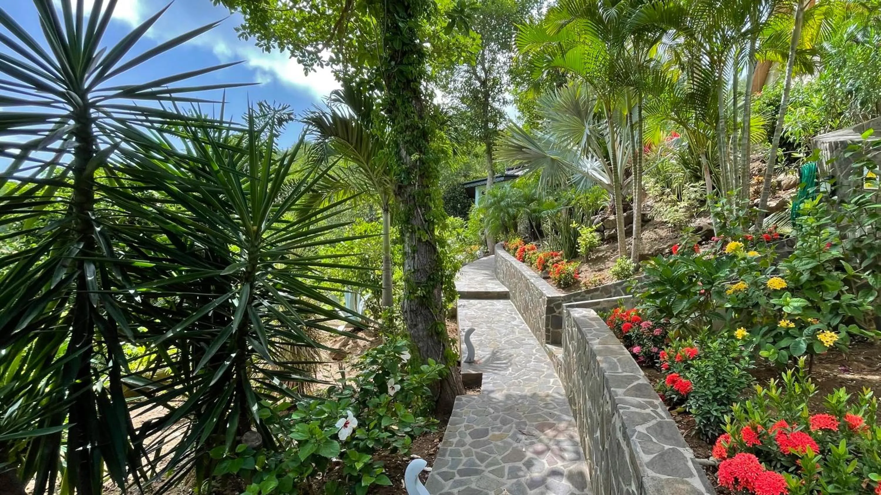 Property building in Tropical Hideaway