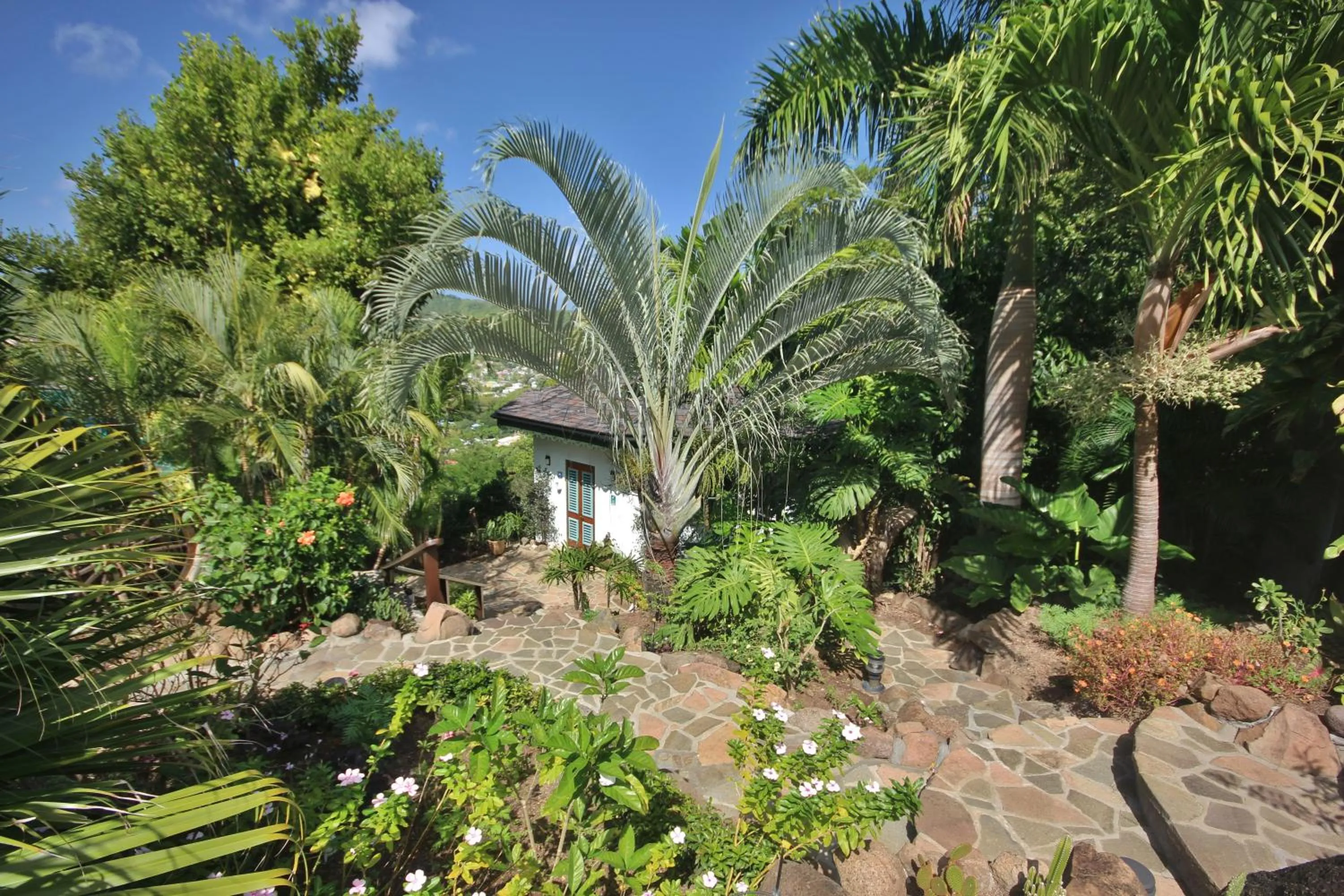 Property building in Tropical Hideaway