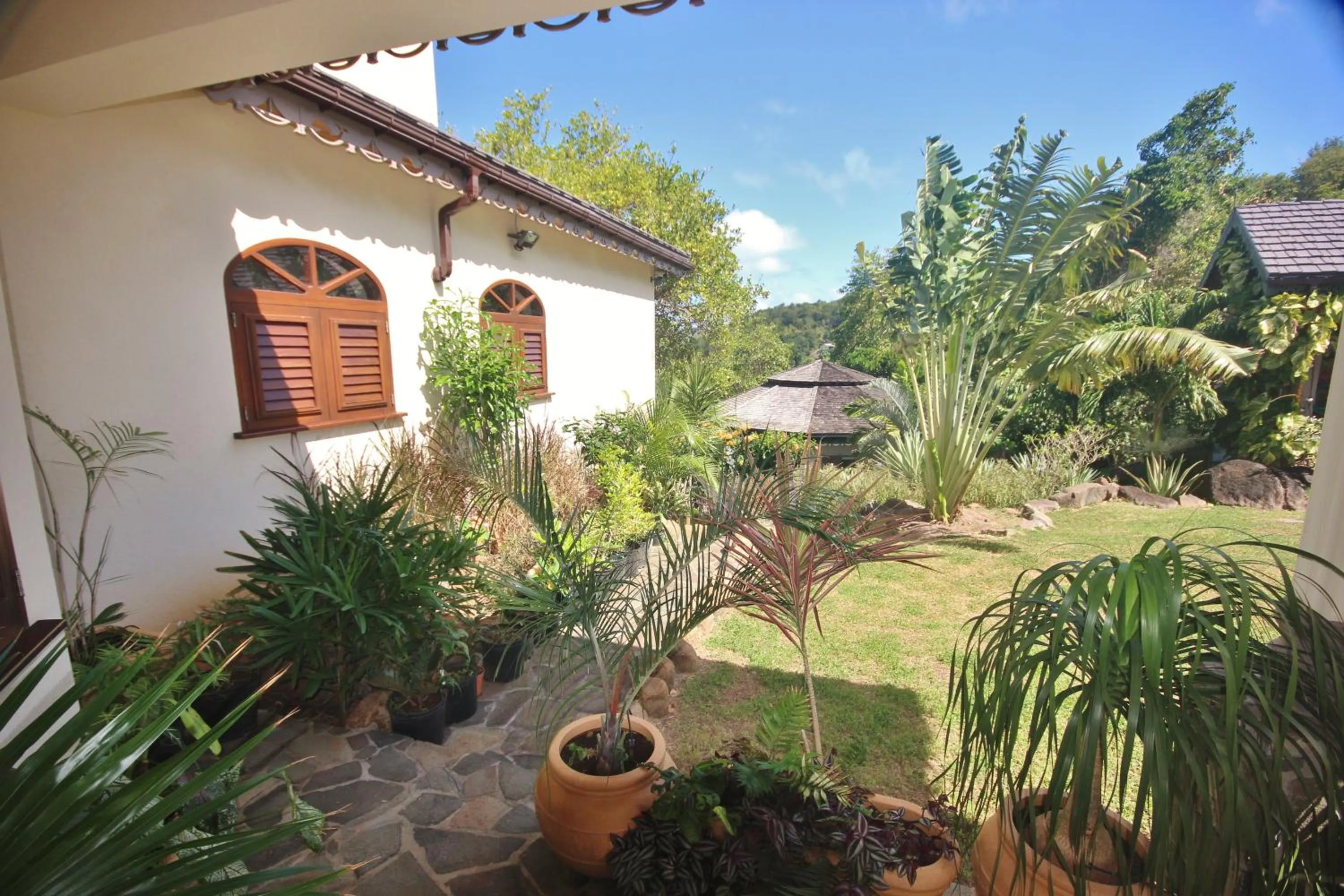 Garden in Tropical Hideaway