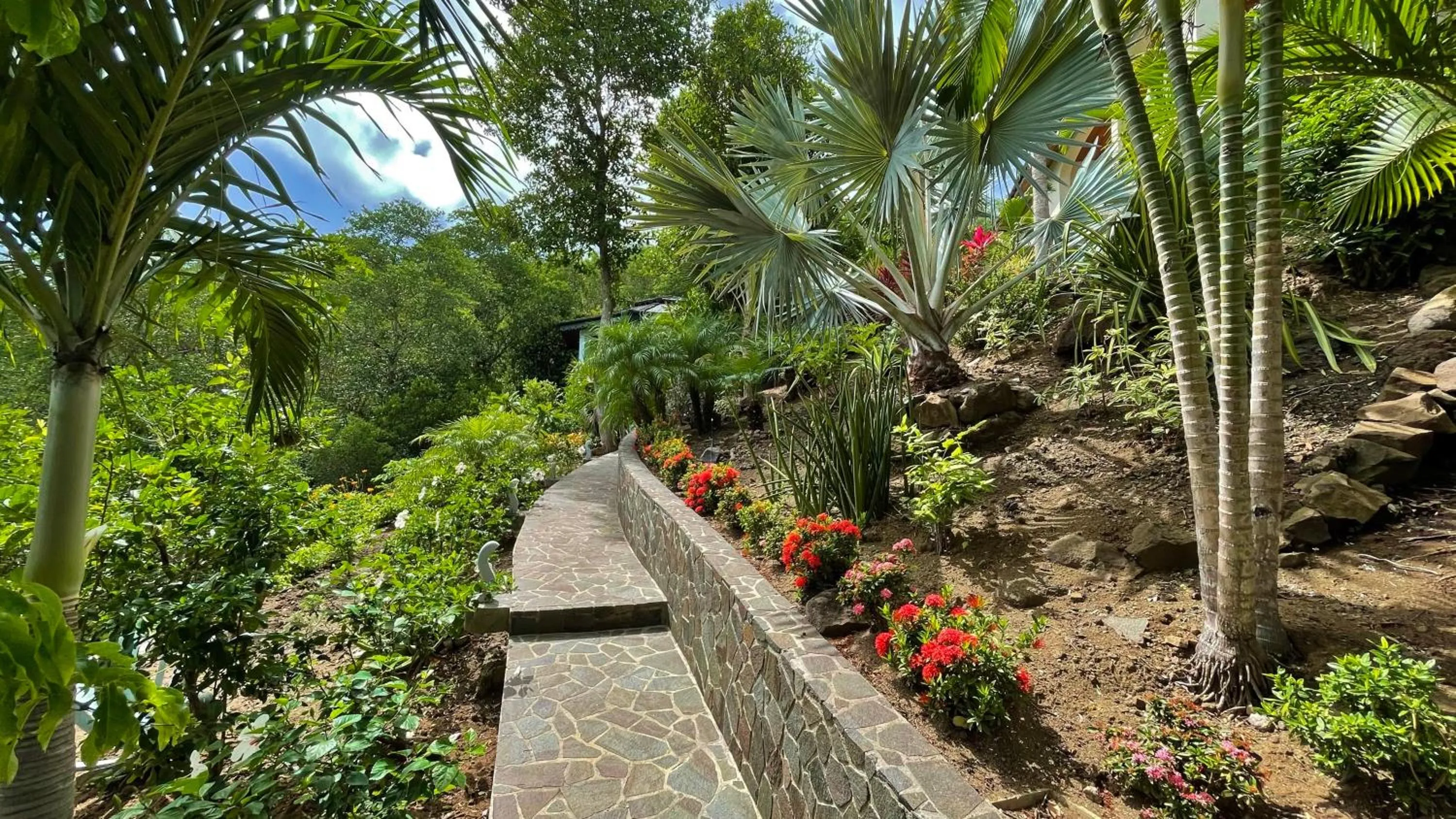 Garden in Tropical Hideaway