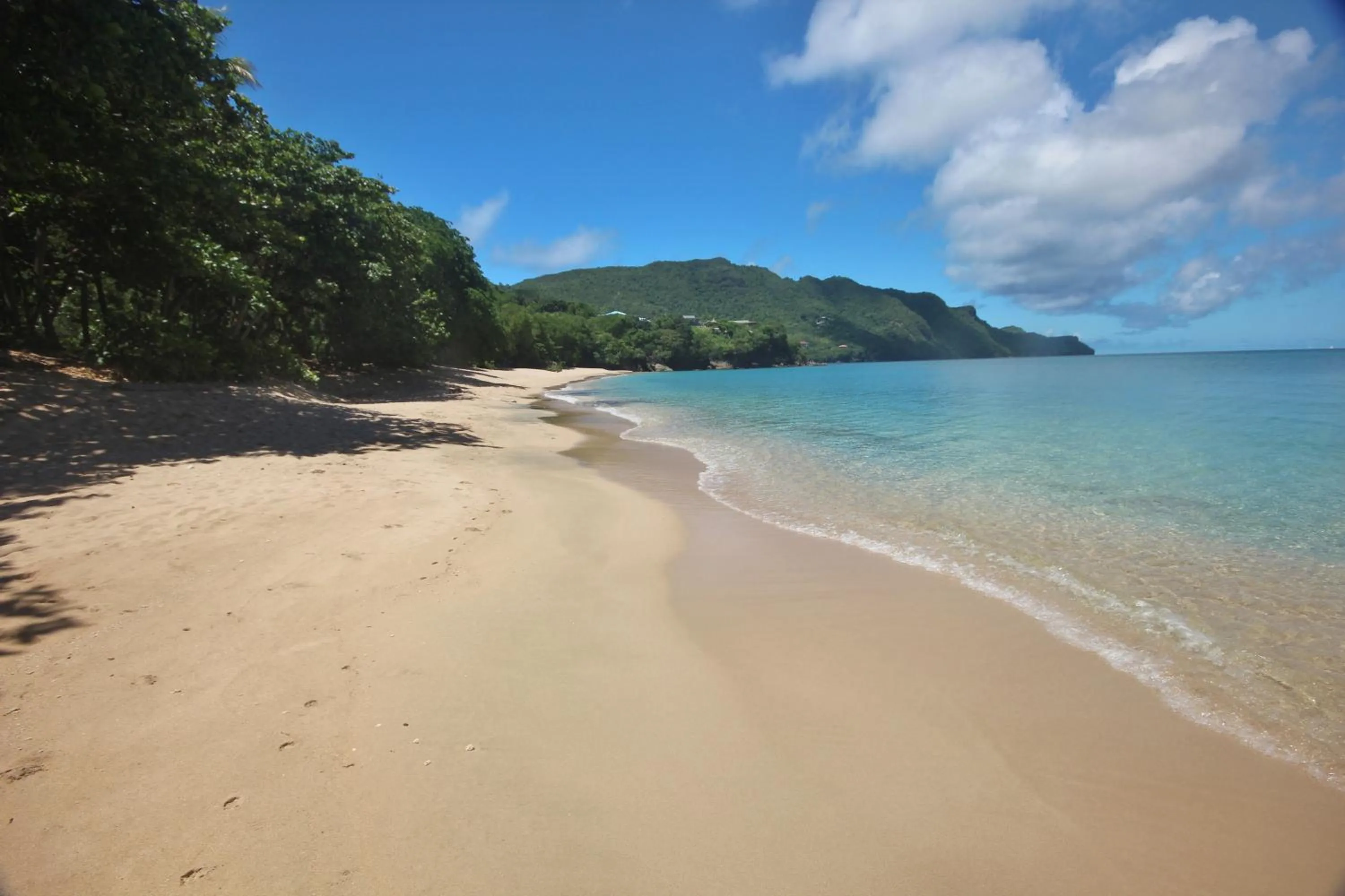 Beach in Tropical Hideaway