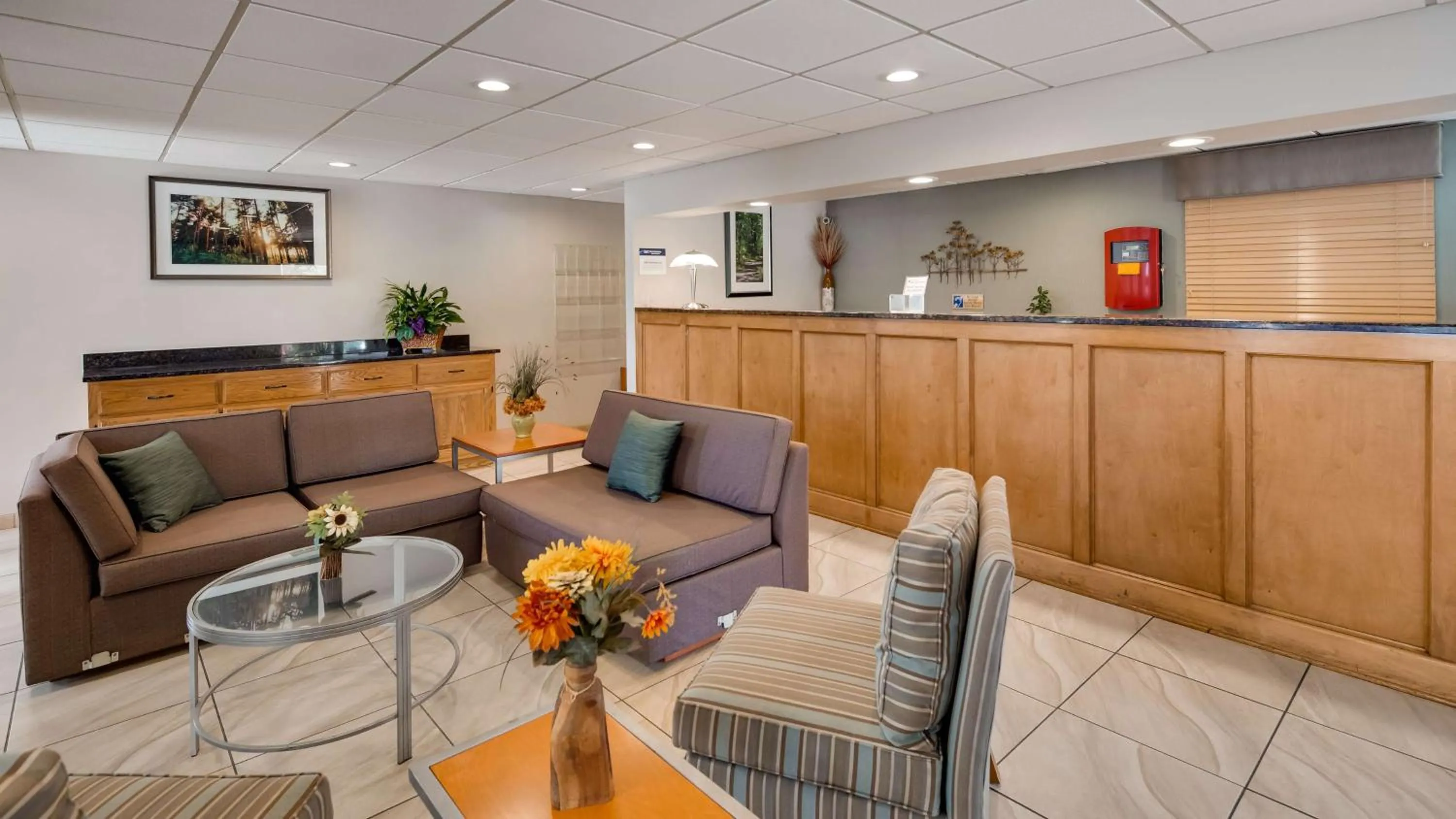 Lobby or reception in Best Western of Murphy