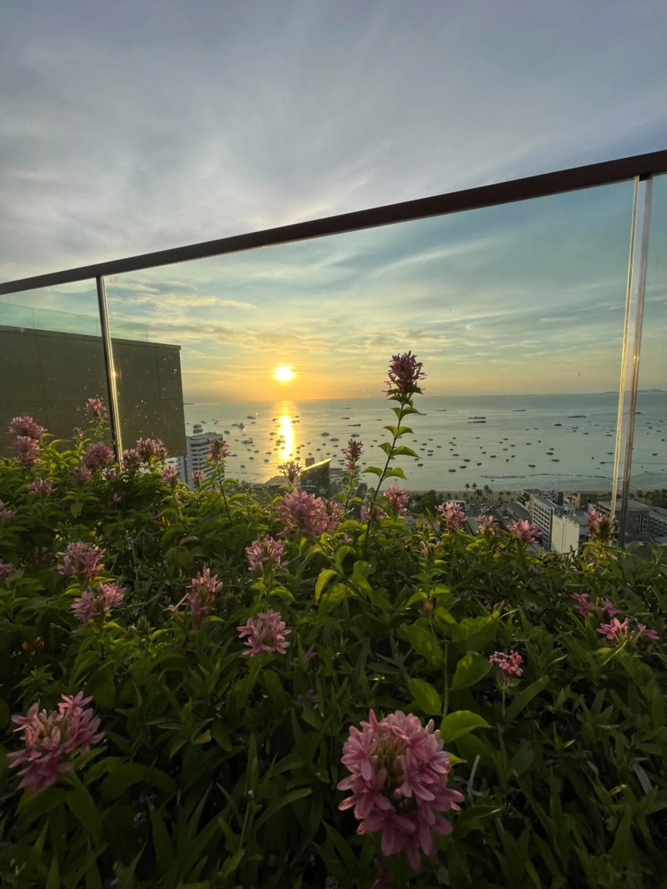 Garden in The EDGE Central Pattaya