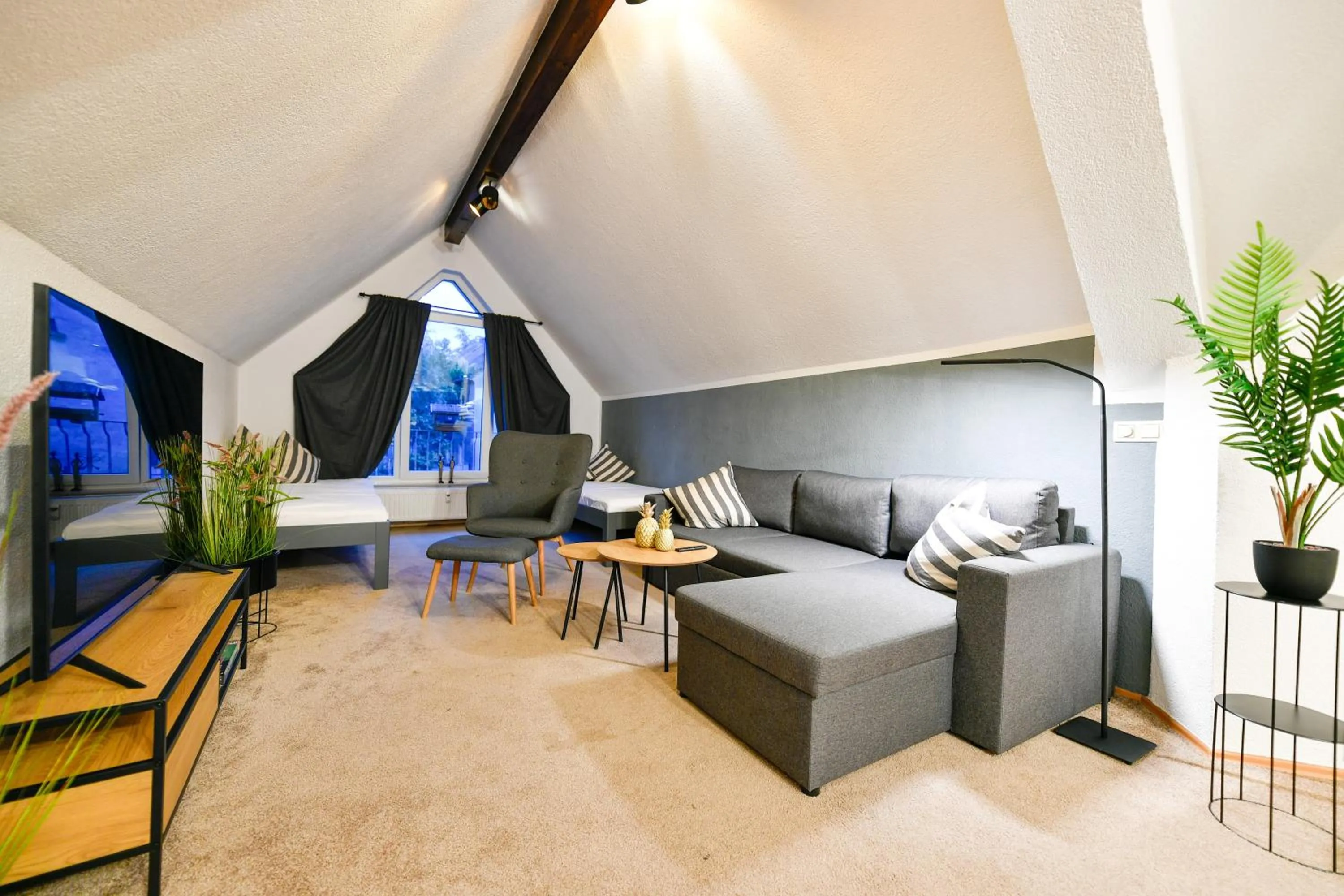 TV and multimedia in Großes Spree Apartment, 3 Schlafzimmer bis 10 Personen, 4x KfZ Parkplatz, Terrasse, Waschtrockner, Wlan, Netflix