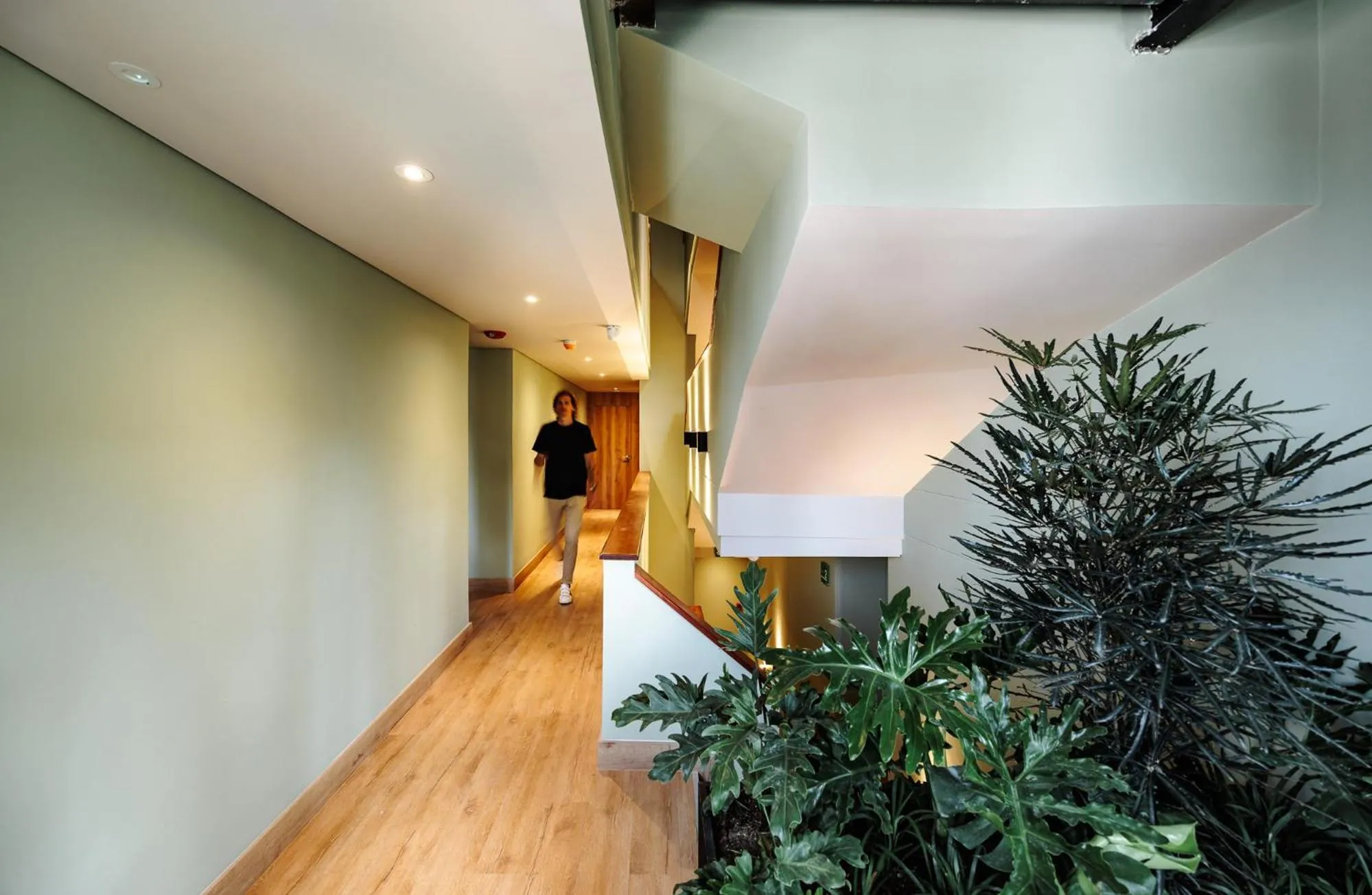 Property building in The Somos Central Hotel Poblado