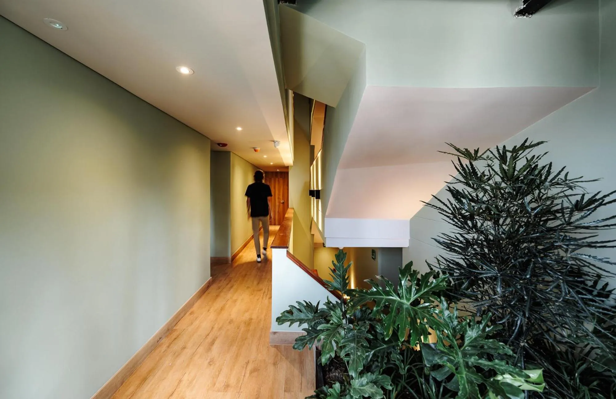 Area and facilities in The Somos Central Hotel Poblado