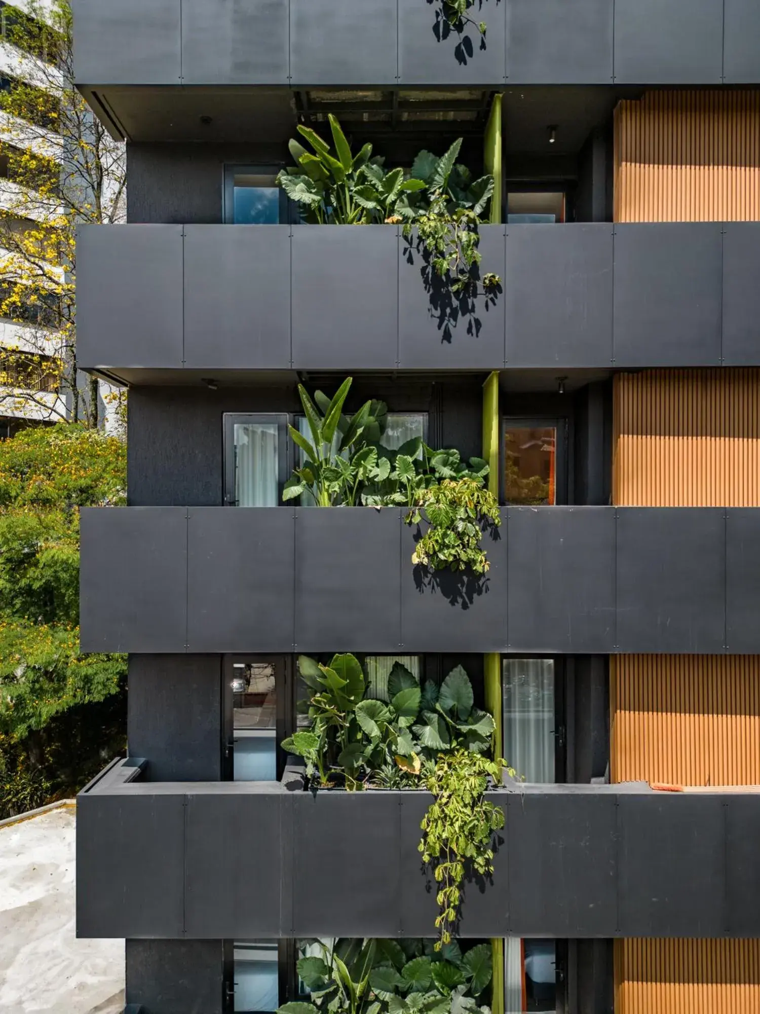 Property building in The Somos Central Hotel Poblado Property building in The Somos Central Hotel Poblado