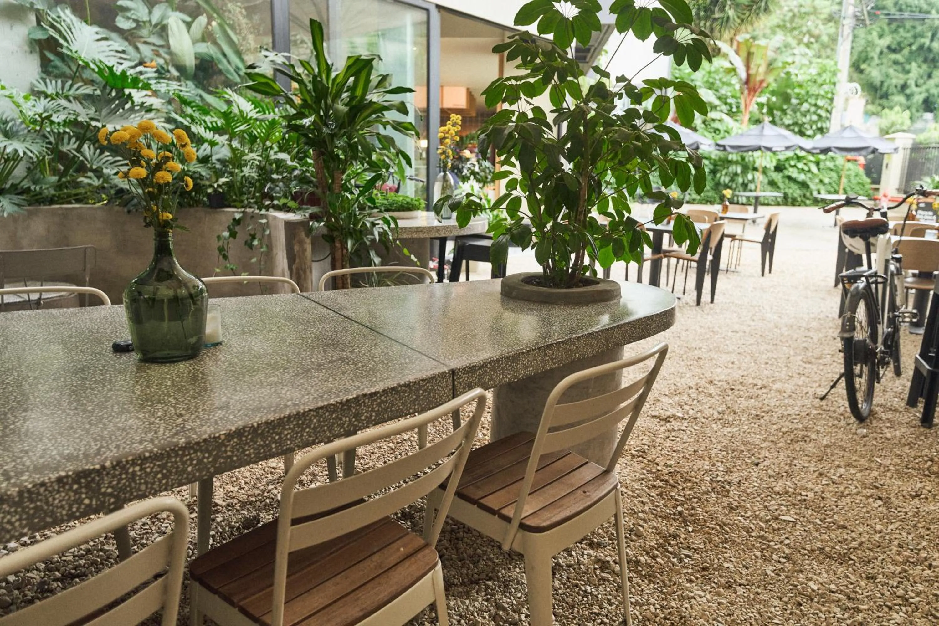 Balcony/Terrace in The Somos Central Hotel Poblado