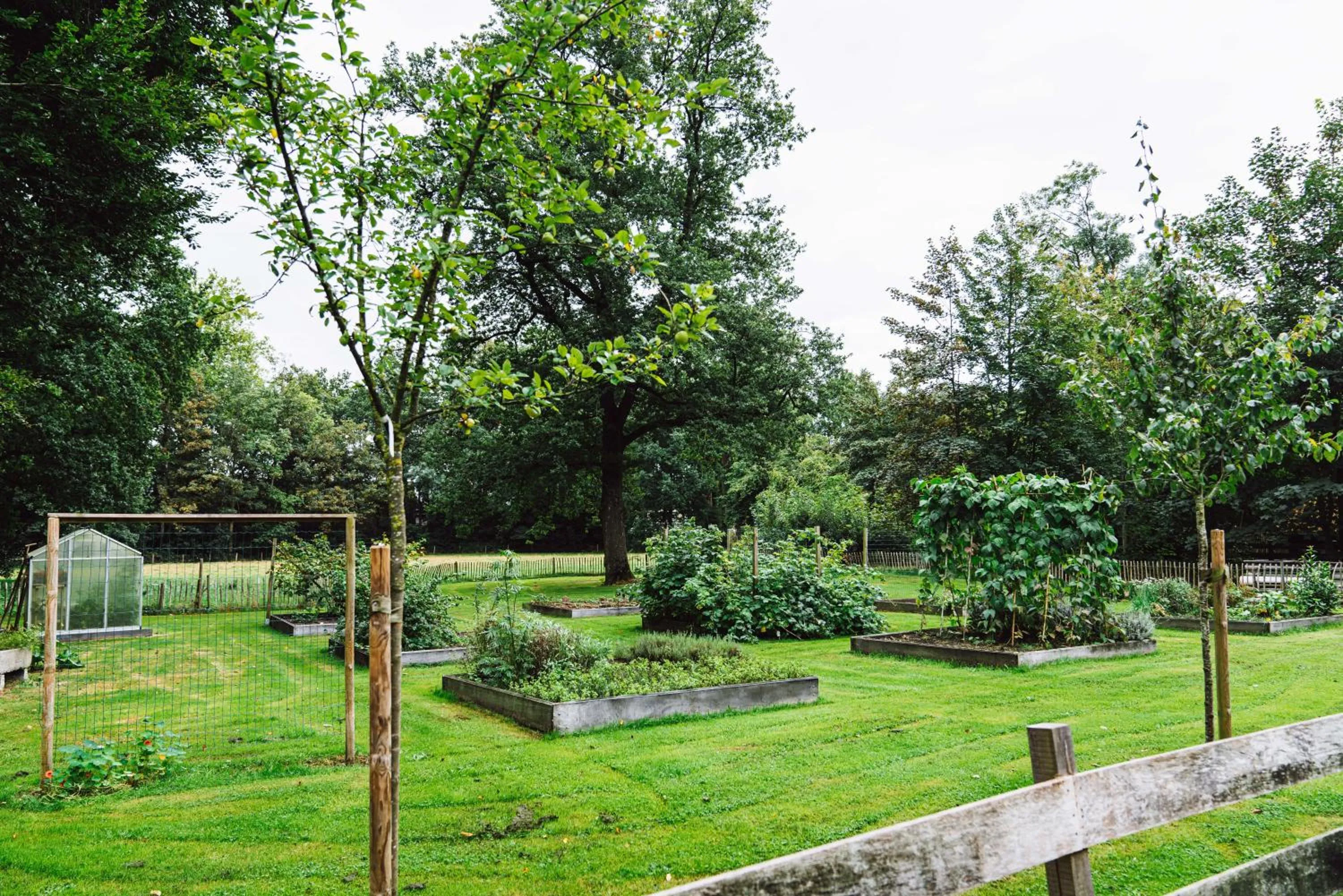 Garden in Hotel Wesseling