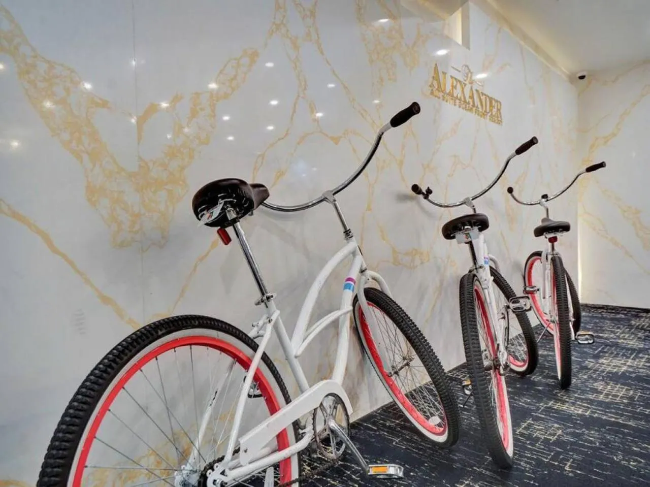 Cycling in Full ocean view Huge private terrace 1002