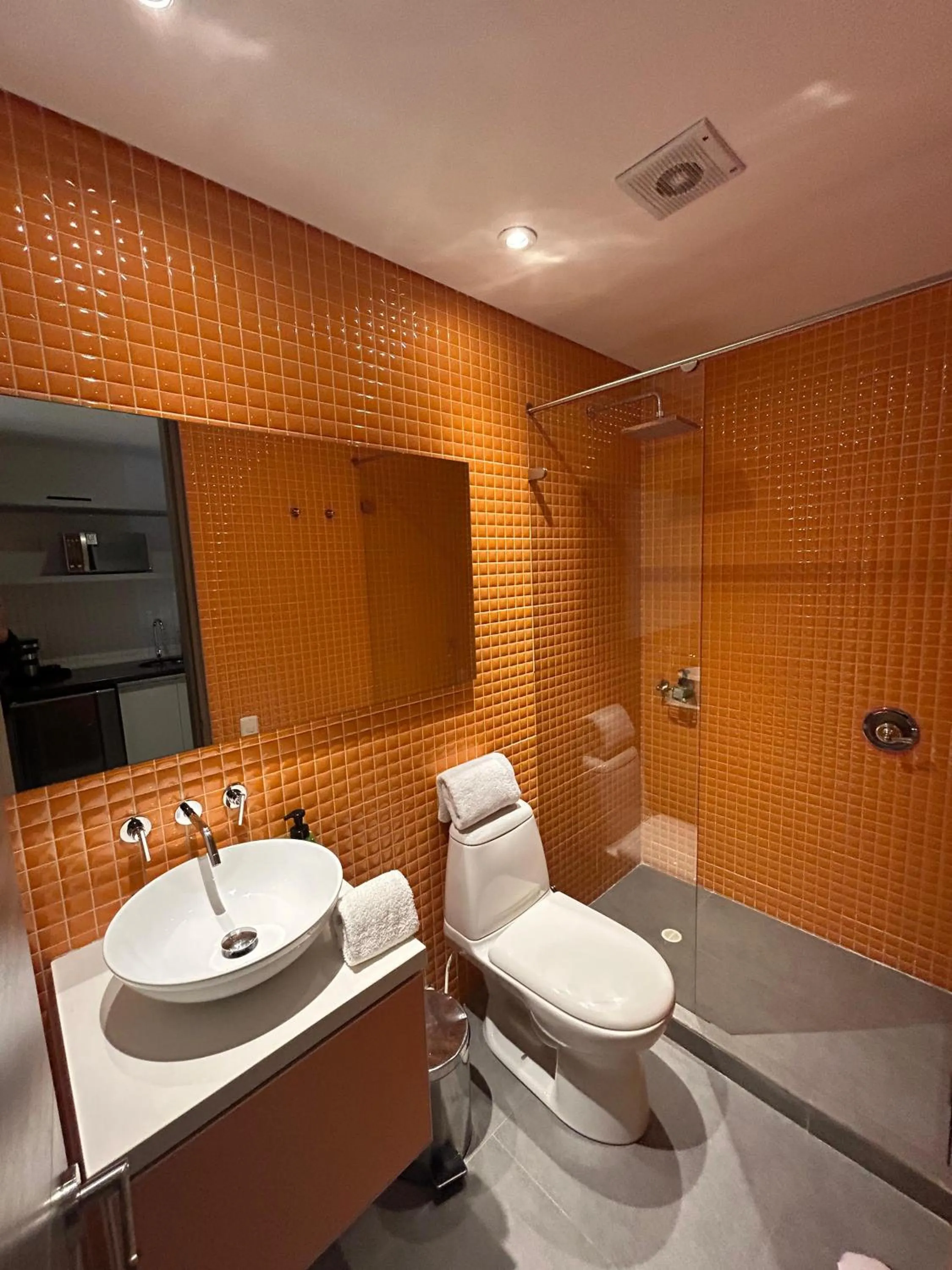 Shower in Esstudia 17-4