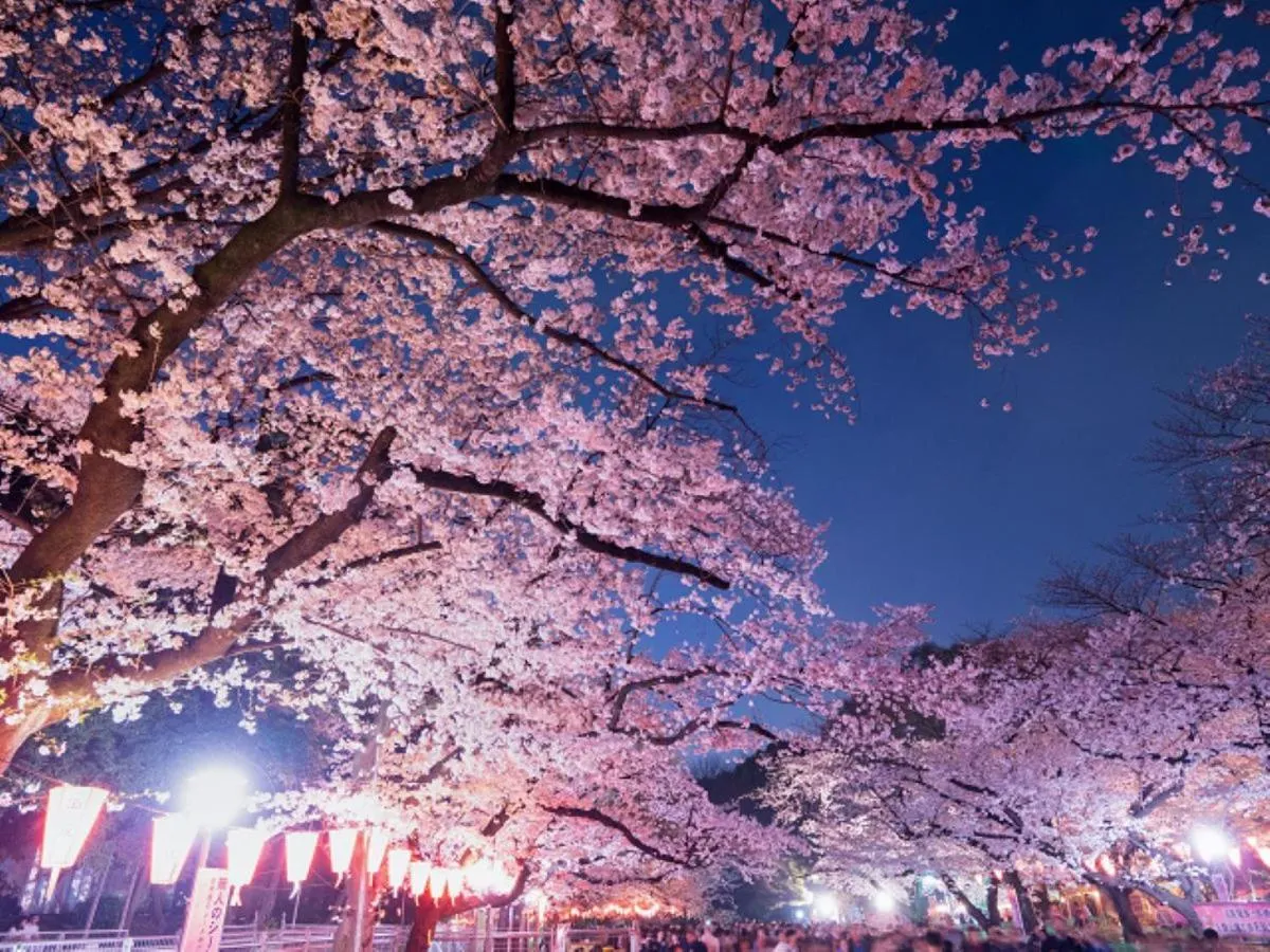 THE BONDS HOTEL TOKYO