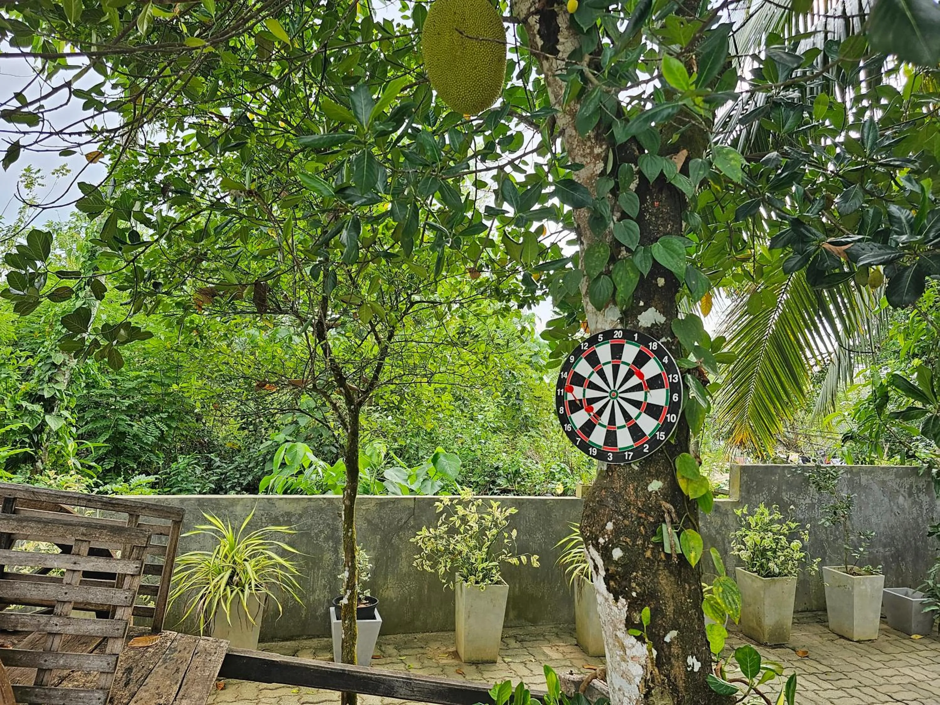 Darts in Ellakanda Nature Villa