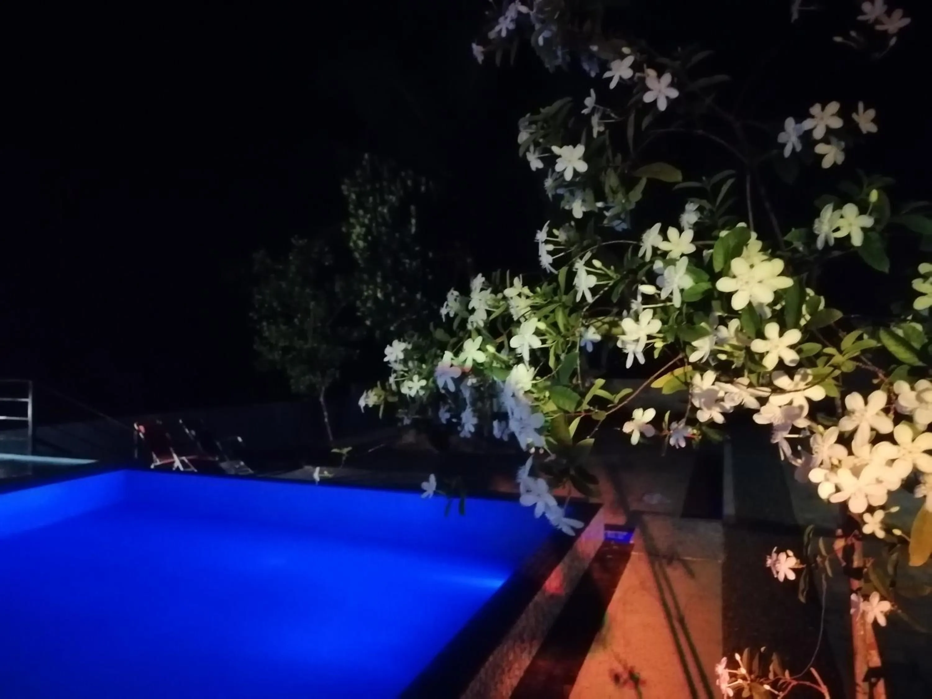 Ellakanda Nature Villa