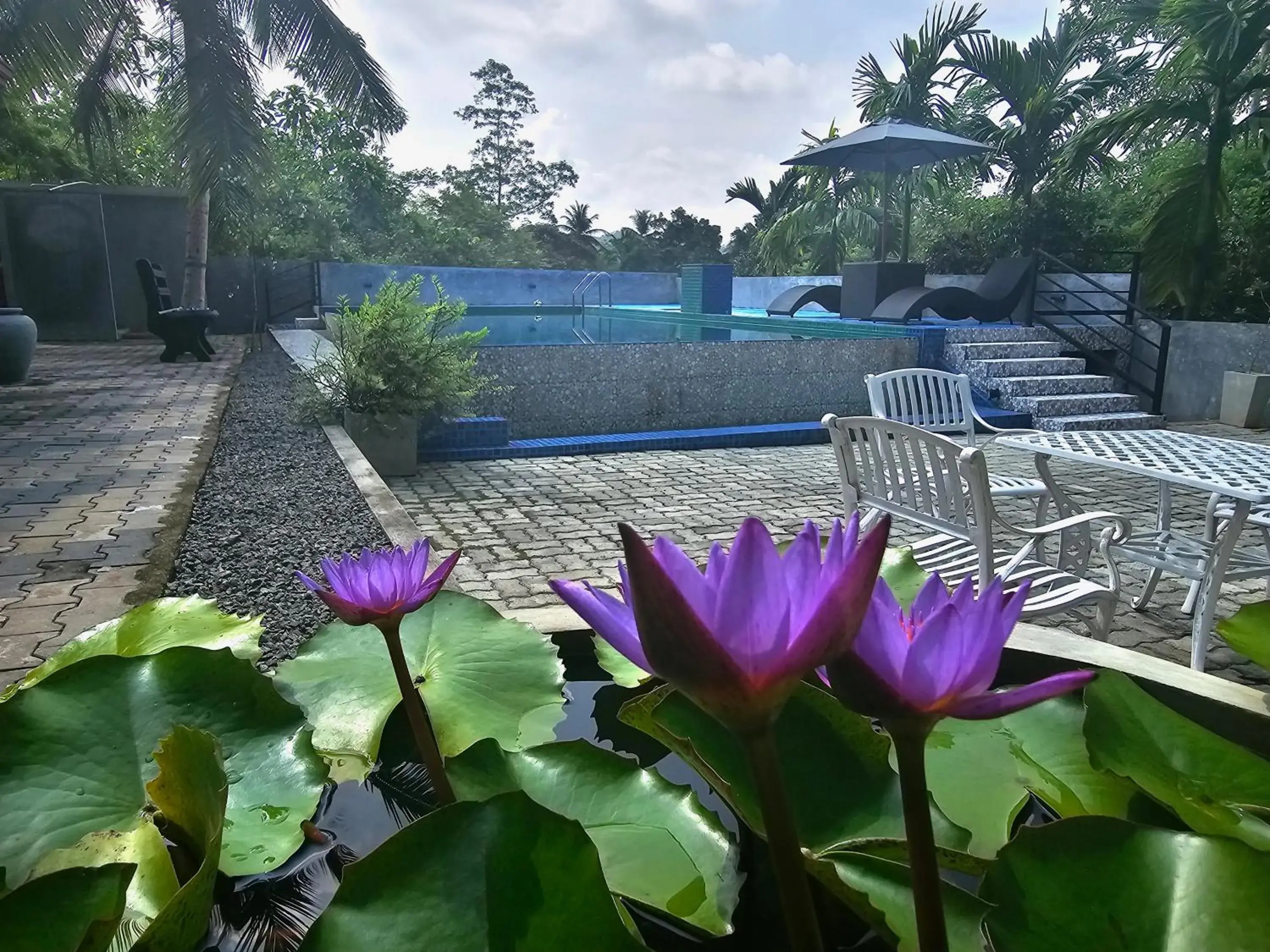Pool view in Ellakanda Nature Villa Pool view in Ellakanda Nature Villa
