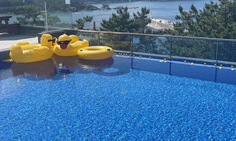 Pool view in Hillsnorkelbeach hotel Pool view in Hillsnorkelbeach hotel