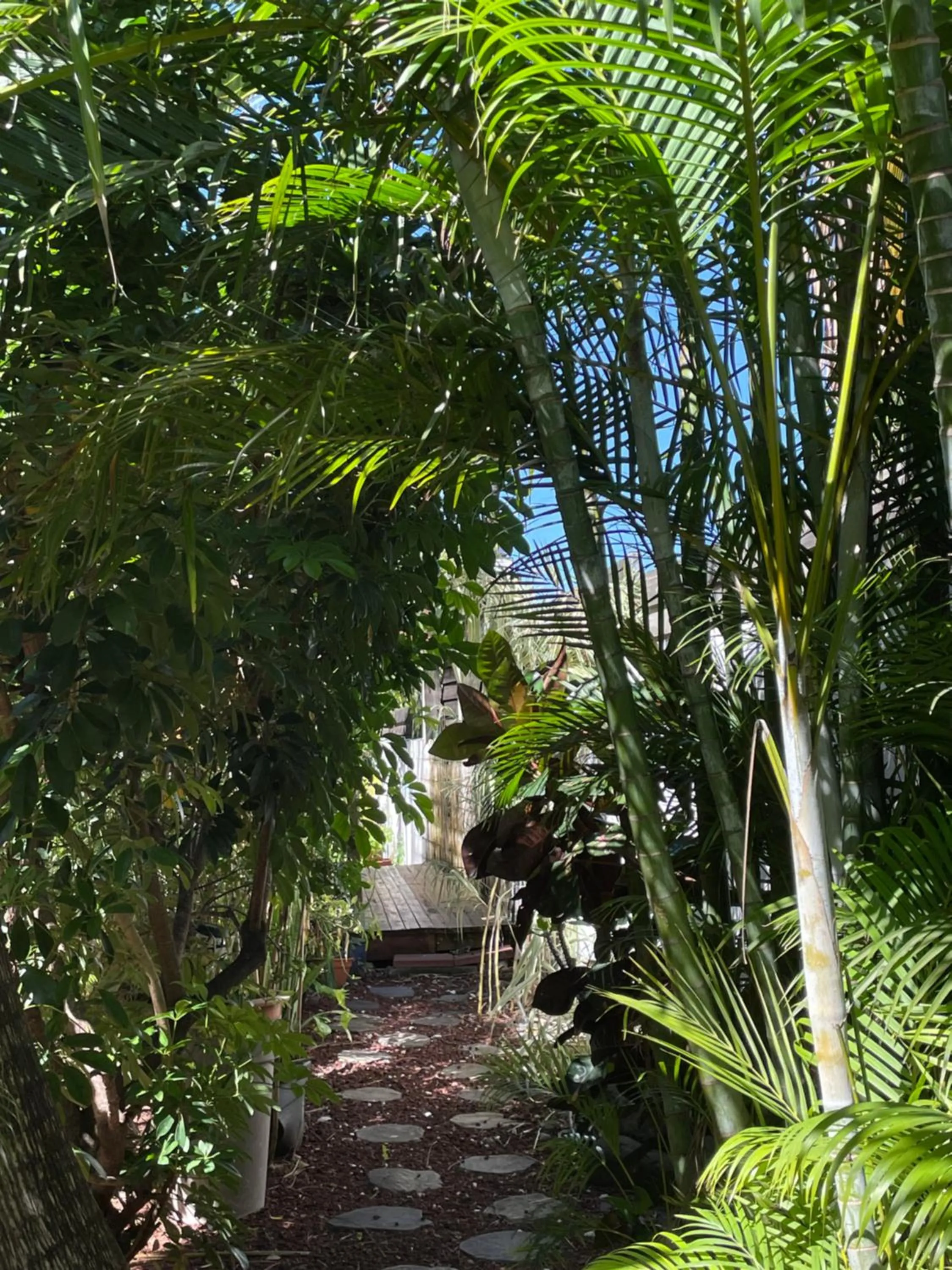 Villa Albizia 974 avec piscine et spa