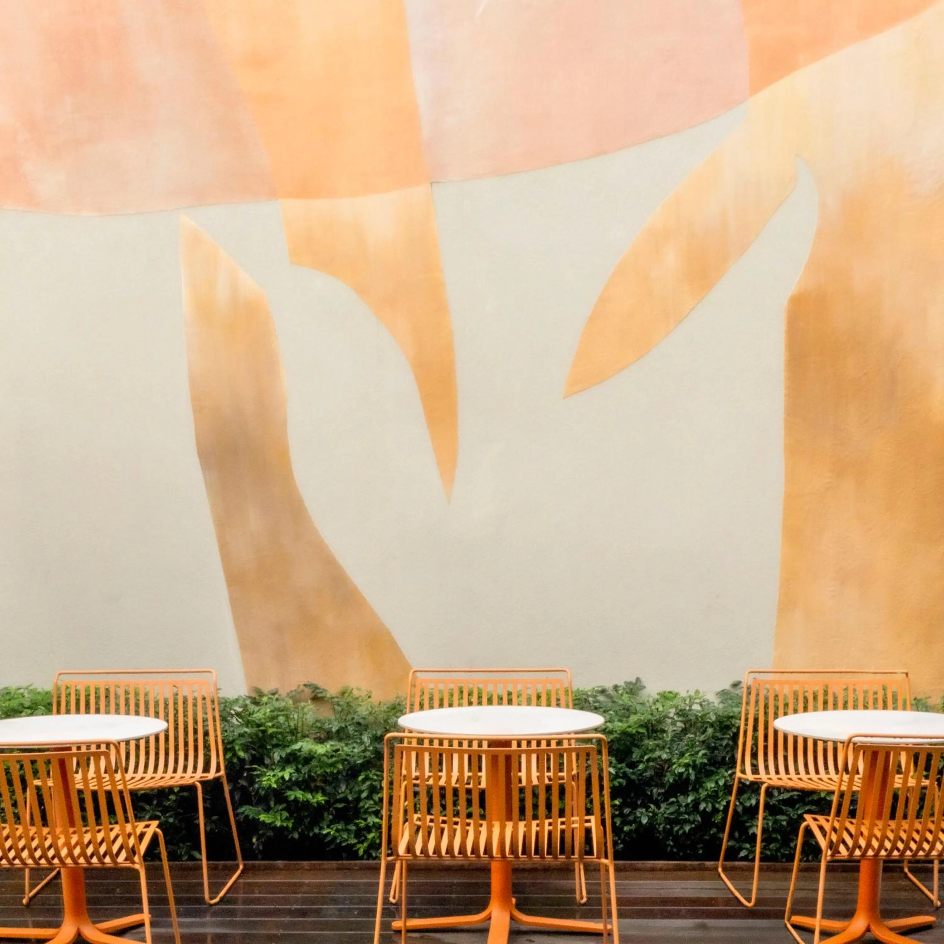 Patio in Hôtel Pilgrim