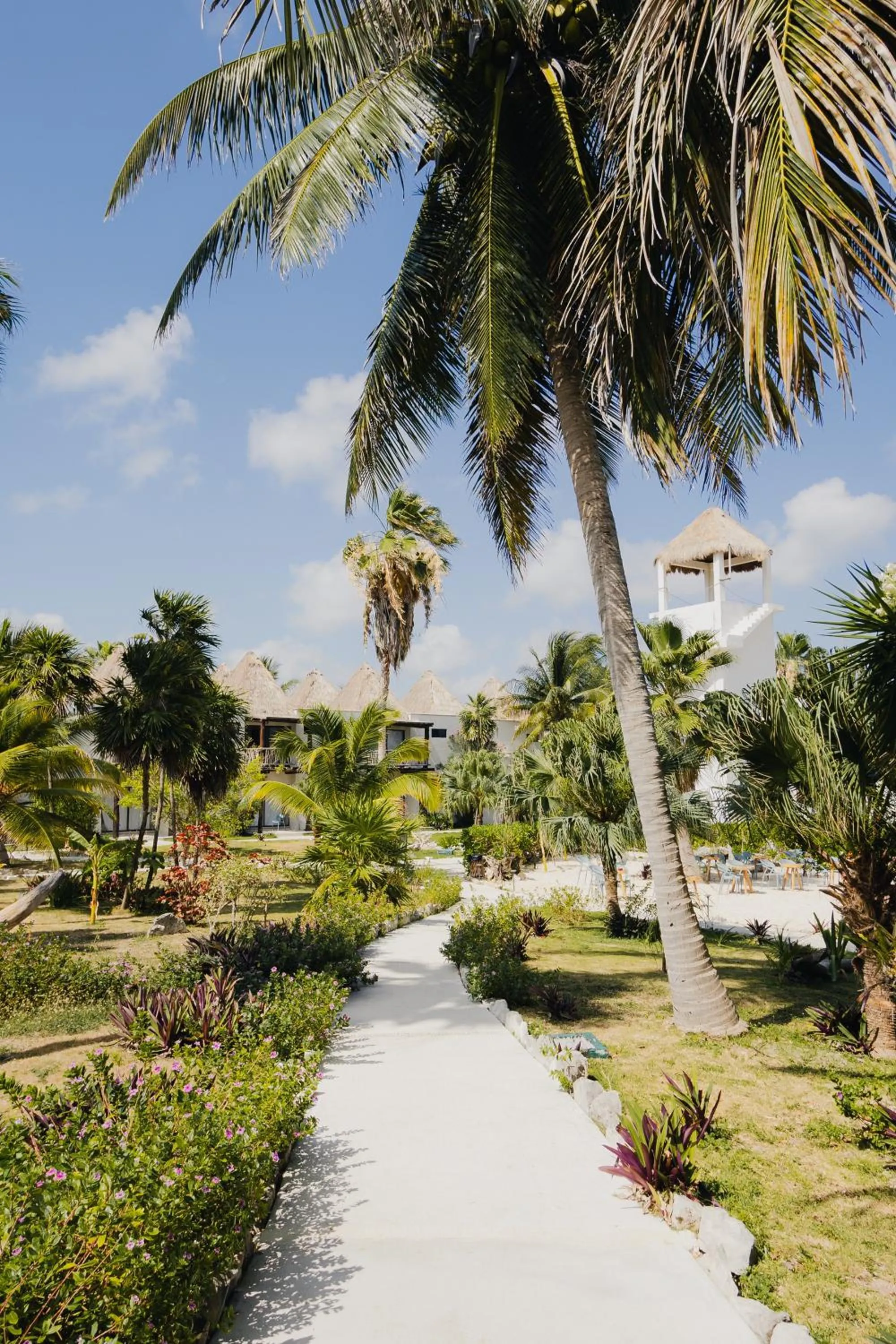 Natural landscape in VR CLUB Tulum Riviera