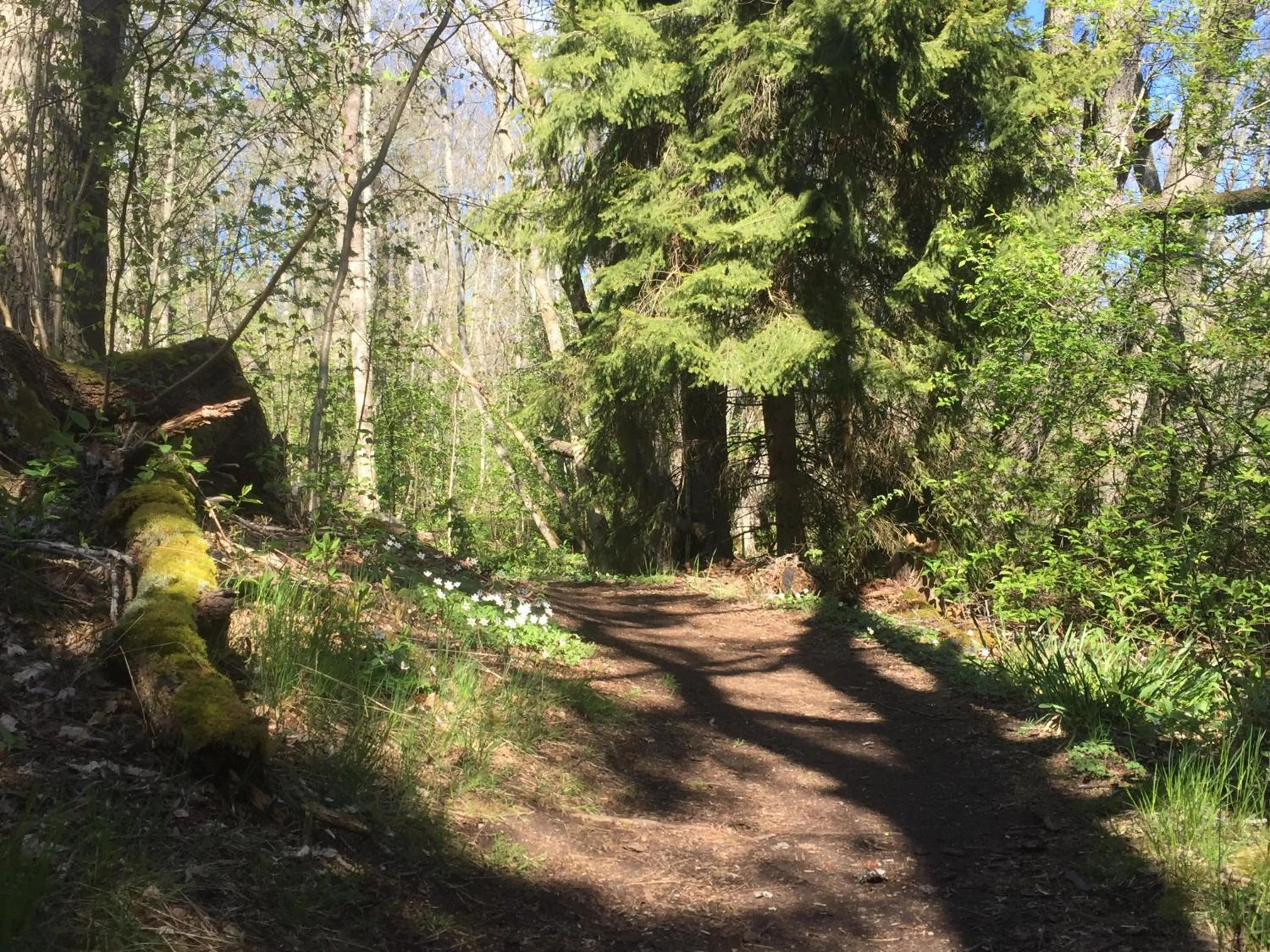 Garden in Skåvsjöholm, hotell & konferens