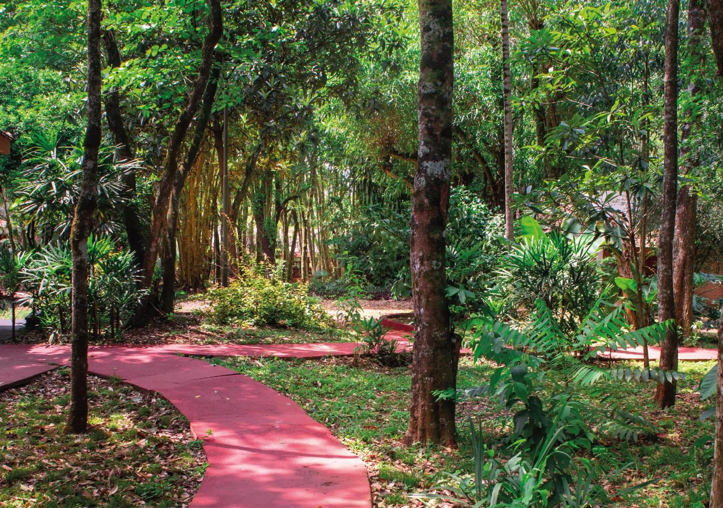 Spring in El Leñador by DOT Cabana