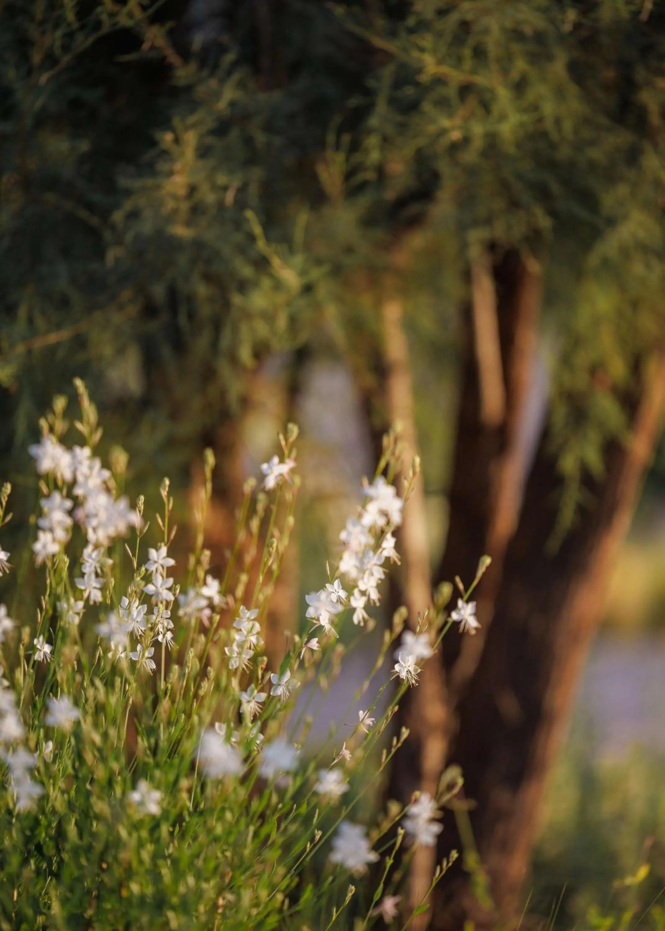 Other in One&Only Aesthesis, Athens