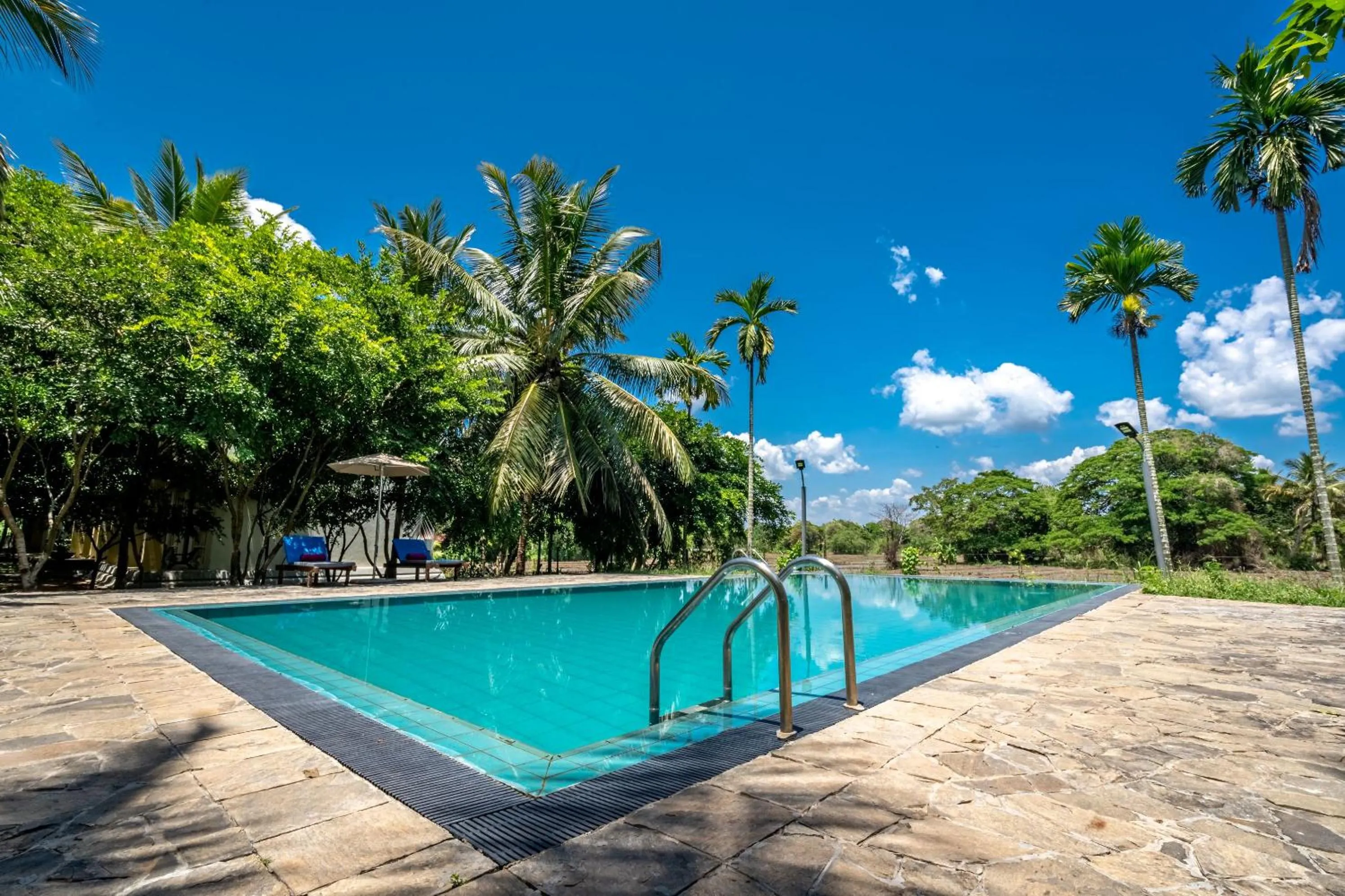 Natural landscape in Lavendish Wild Wilpattu