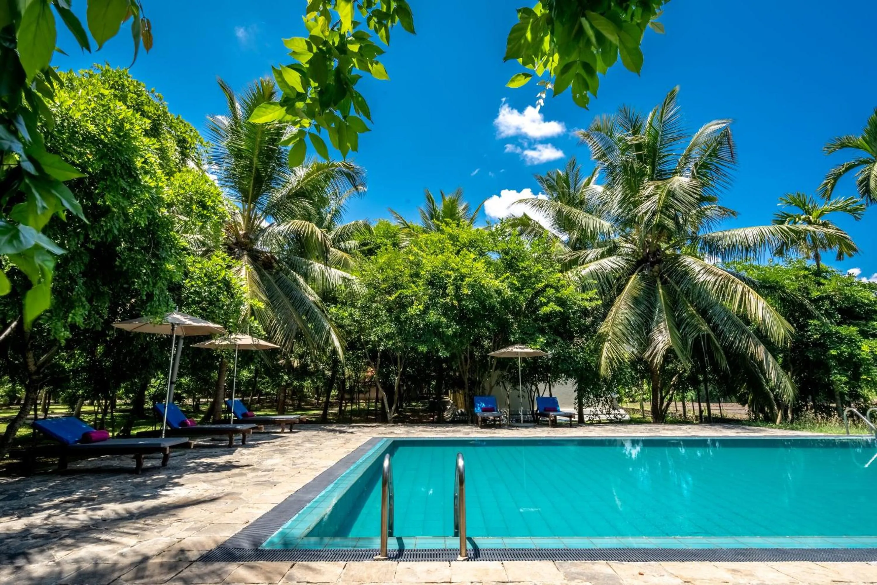 Swimming pool in Lavendish Wild Wilpattu