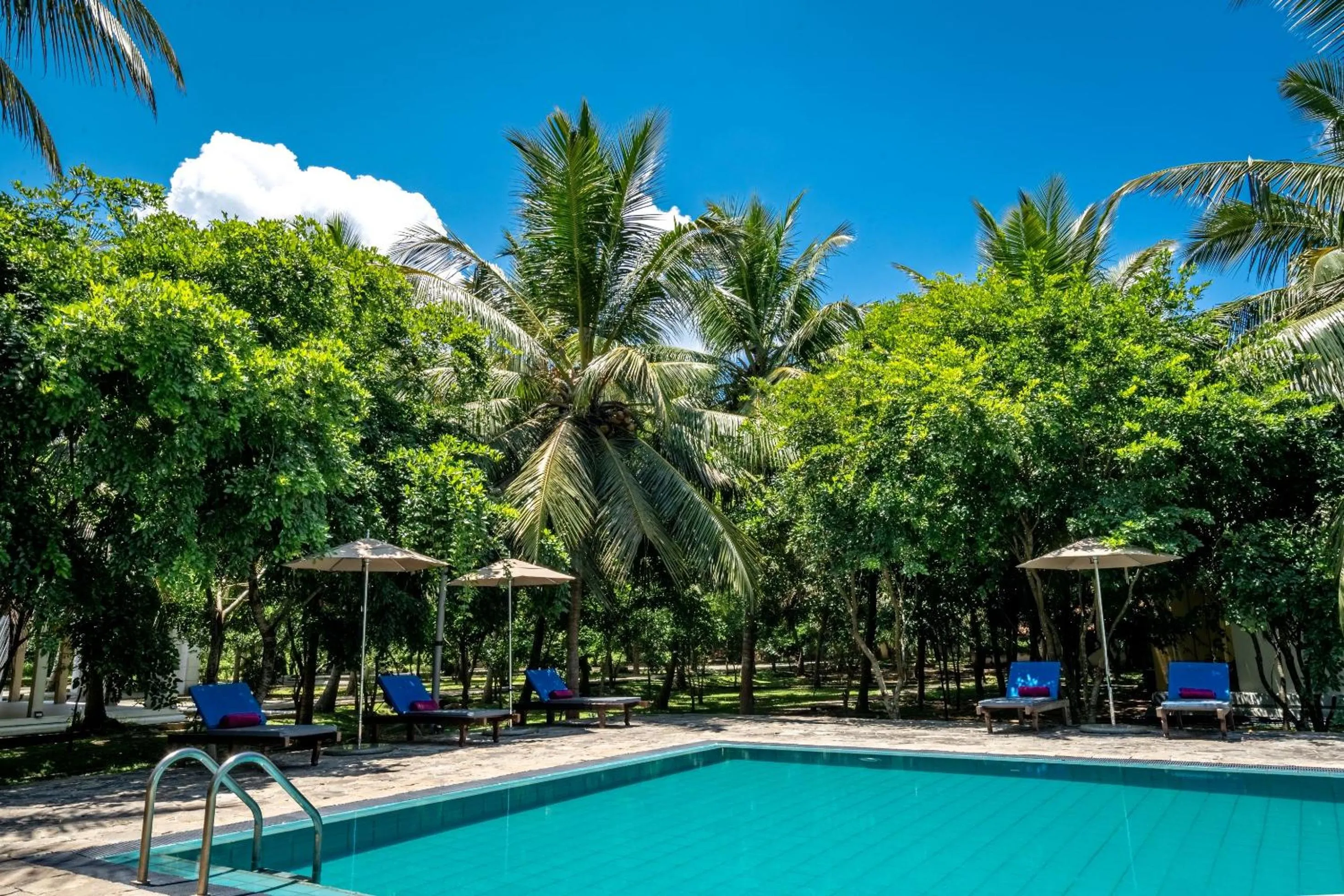 Natural landscape in Lavendish Wild Wilpattu