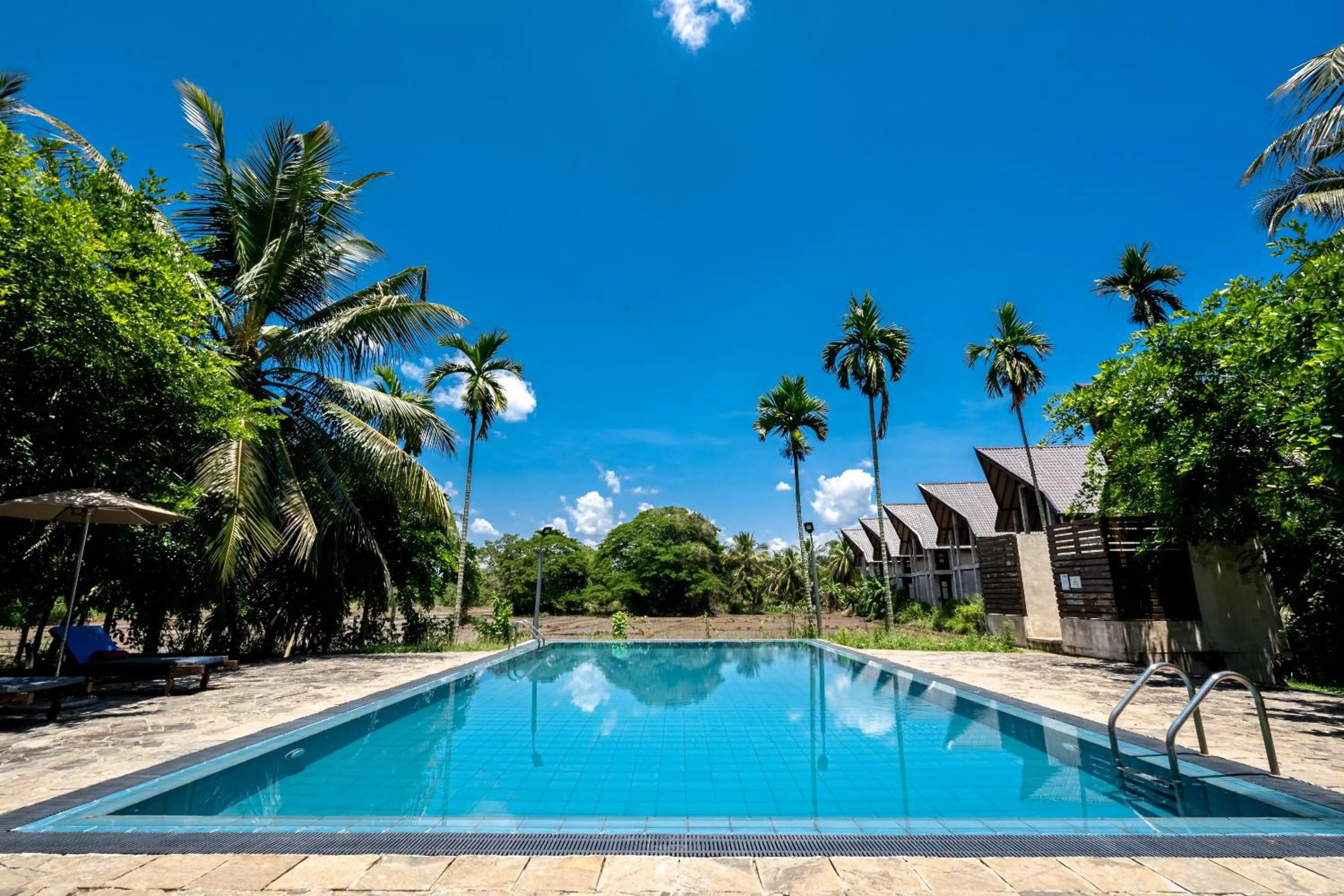 Natural landscape in Lavendish Wild Wilpattu