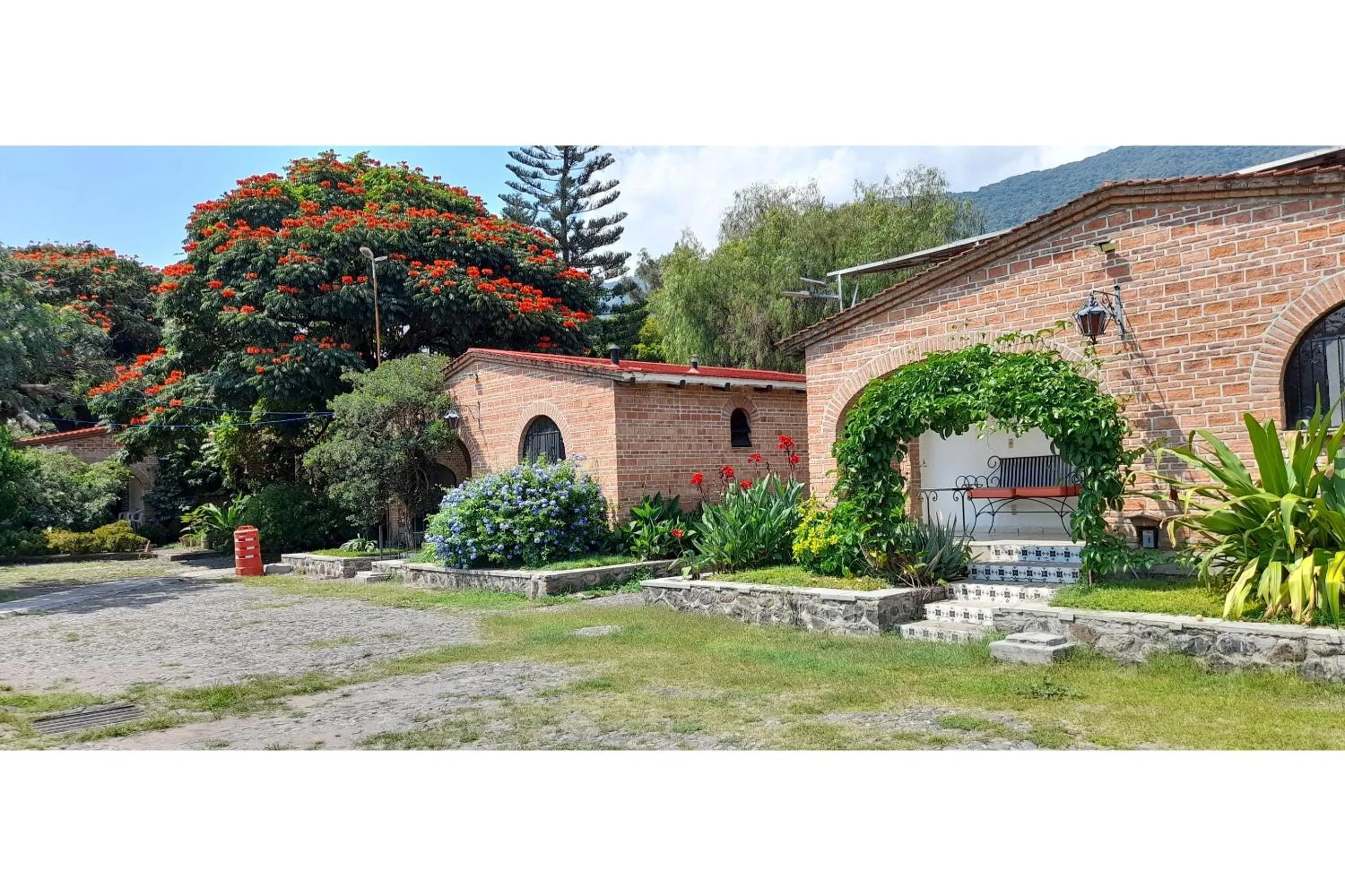 Garden in Capital O Posada Del Pescador Jocotepec