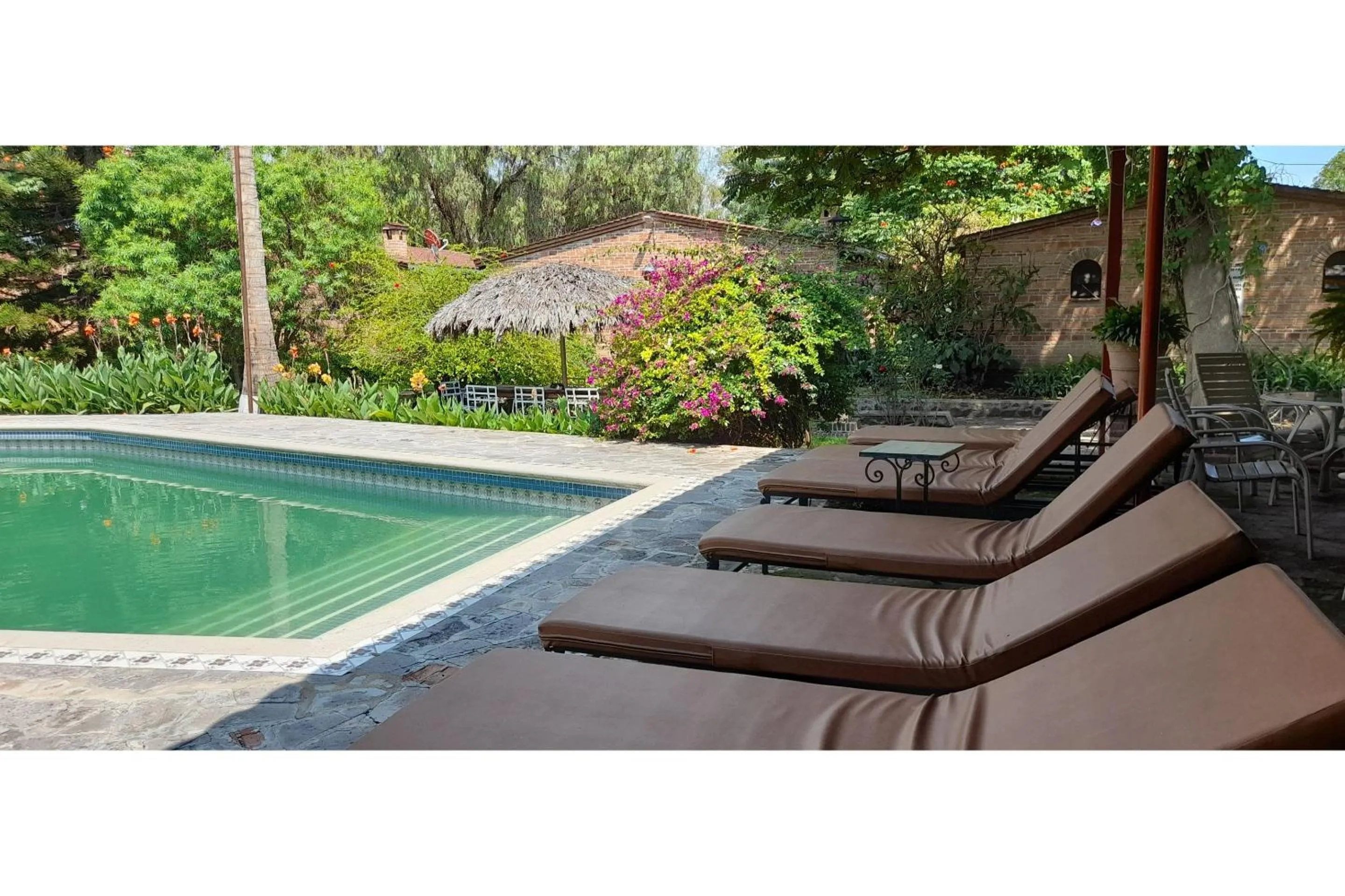 Swimming pool in Capital O Posada Del Pescador Jocotepec