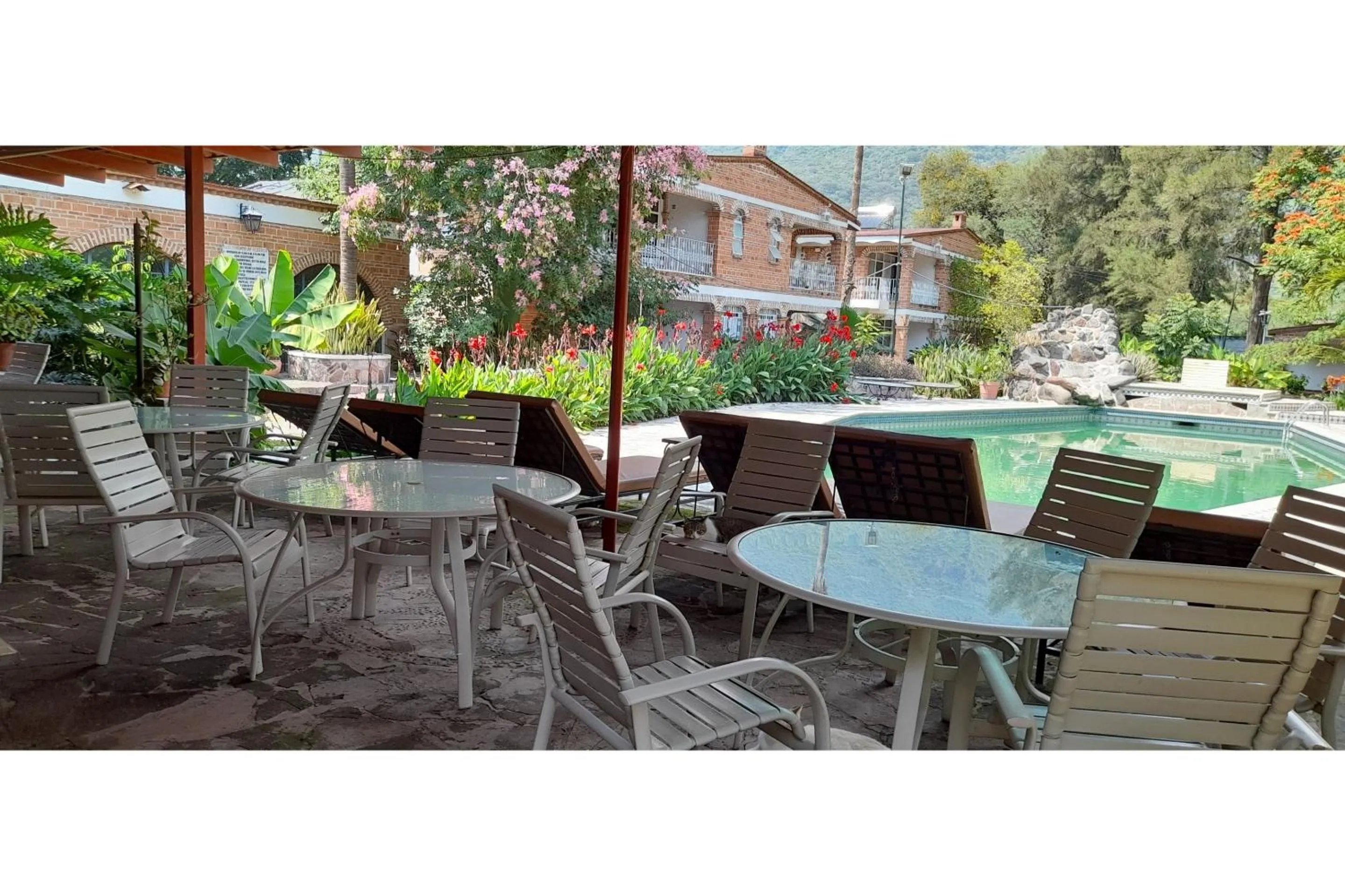 Garden in Capital O Posada Del Pescador Jocotepec