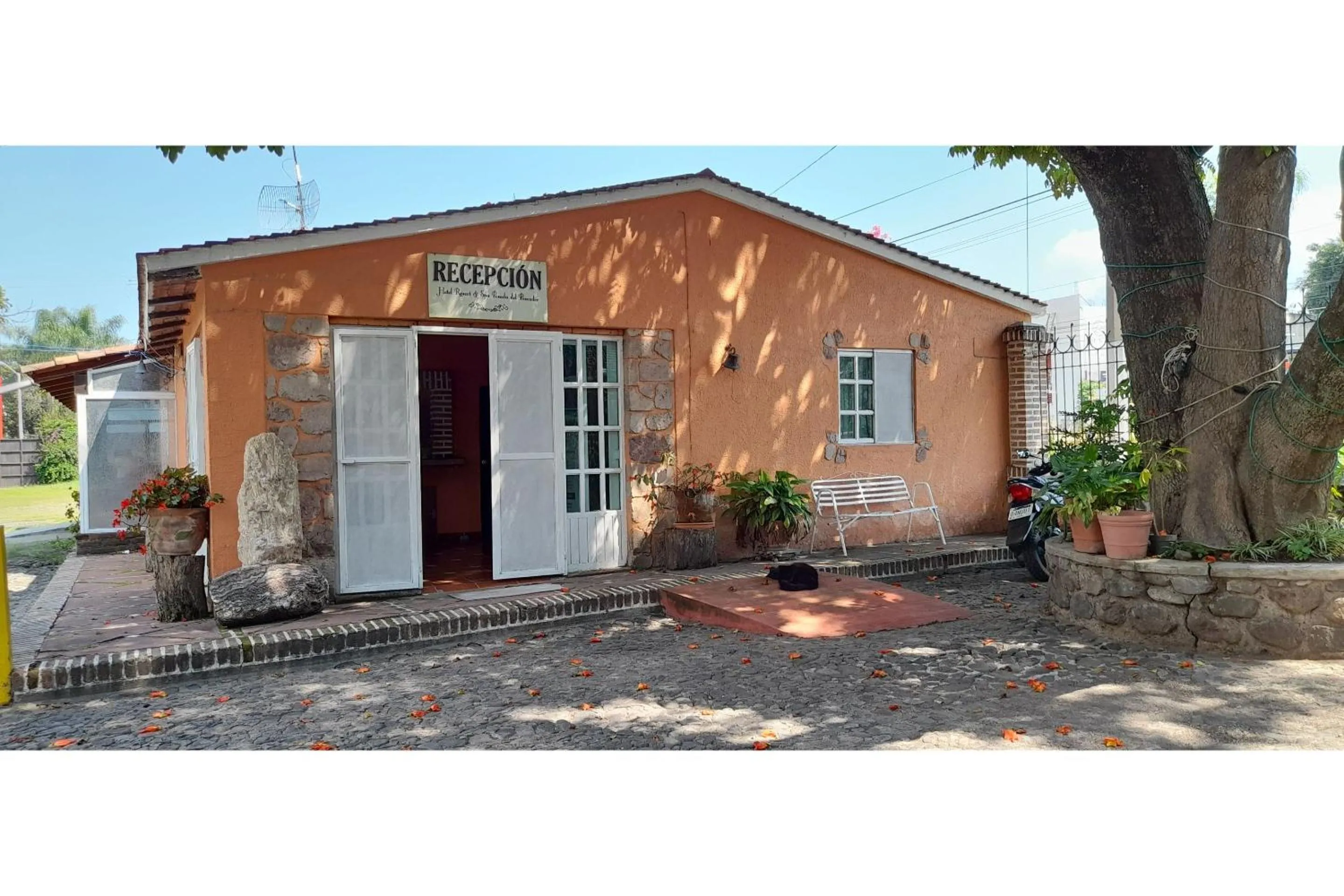 Lobby or reception in Capital O Posada Del Pescador Jocotepec