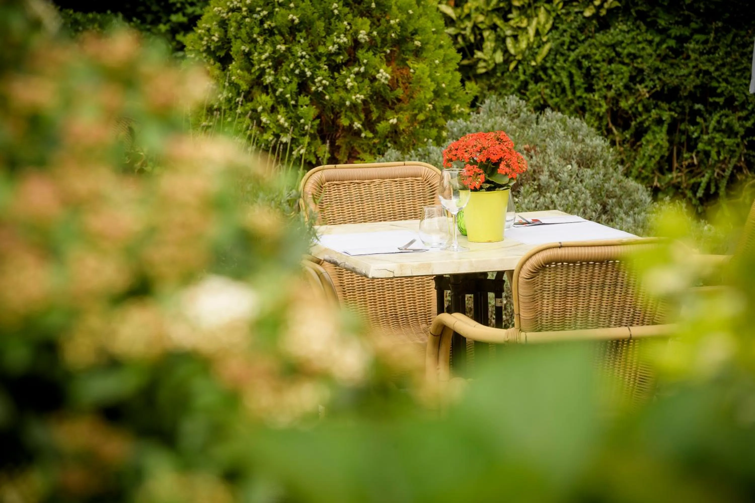 Food and drinks in Campanile Hotel & Restaurant Rotterdam Oost