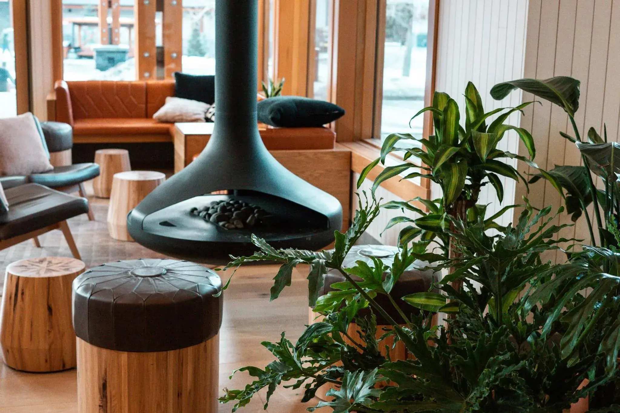 Lobby or reception in Hotel Canoe and Suites Lobby or reception in Hotel Canoe and Suites