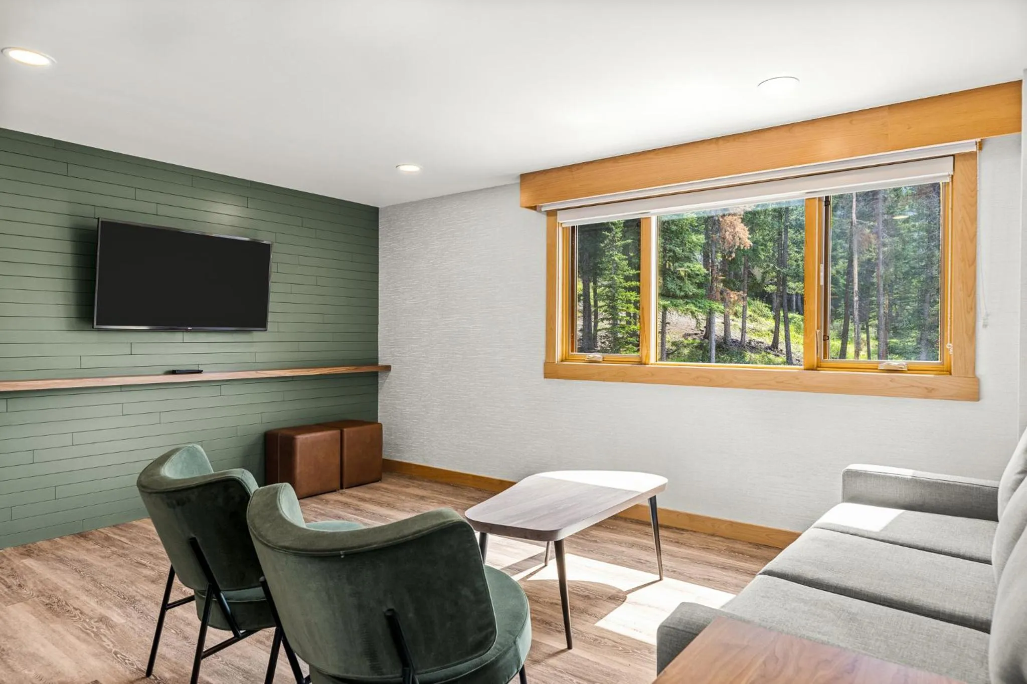 Living room in Hotel Canoe and Suites