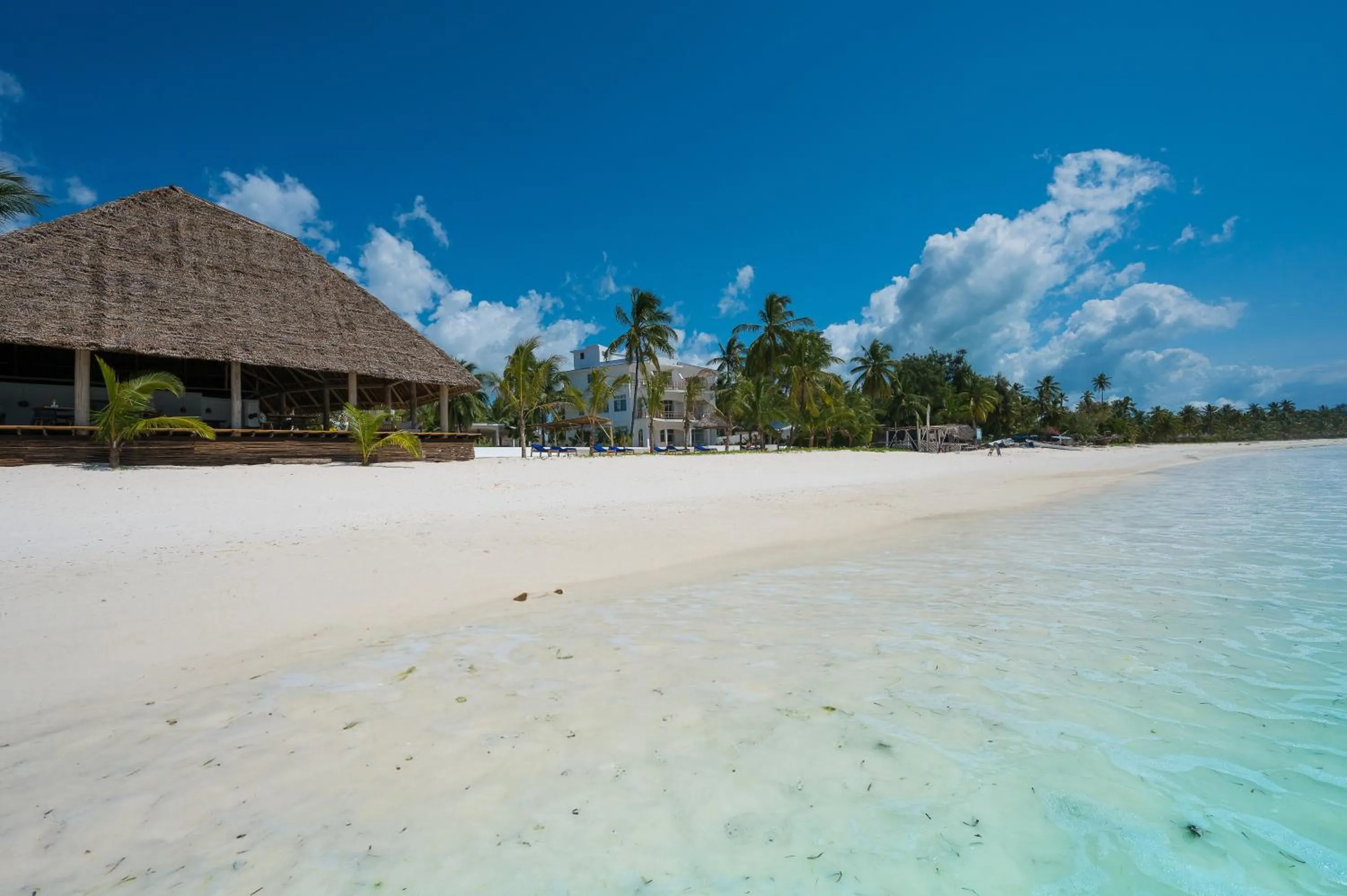 Beach in Ocean Boutique Hotel - Adults only