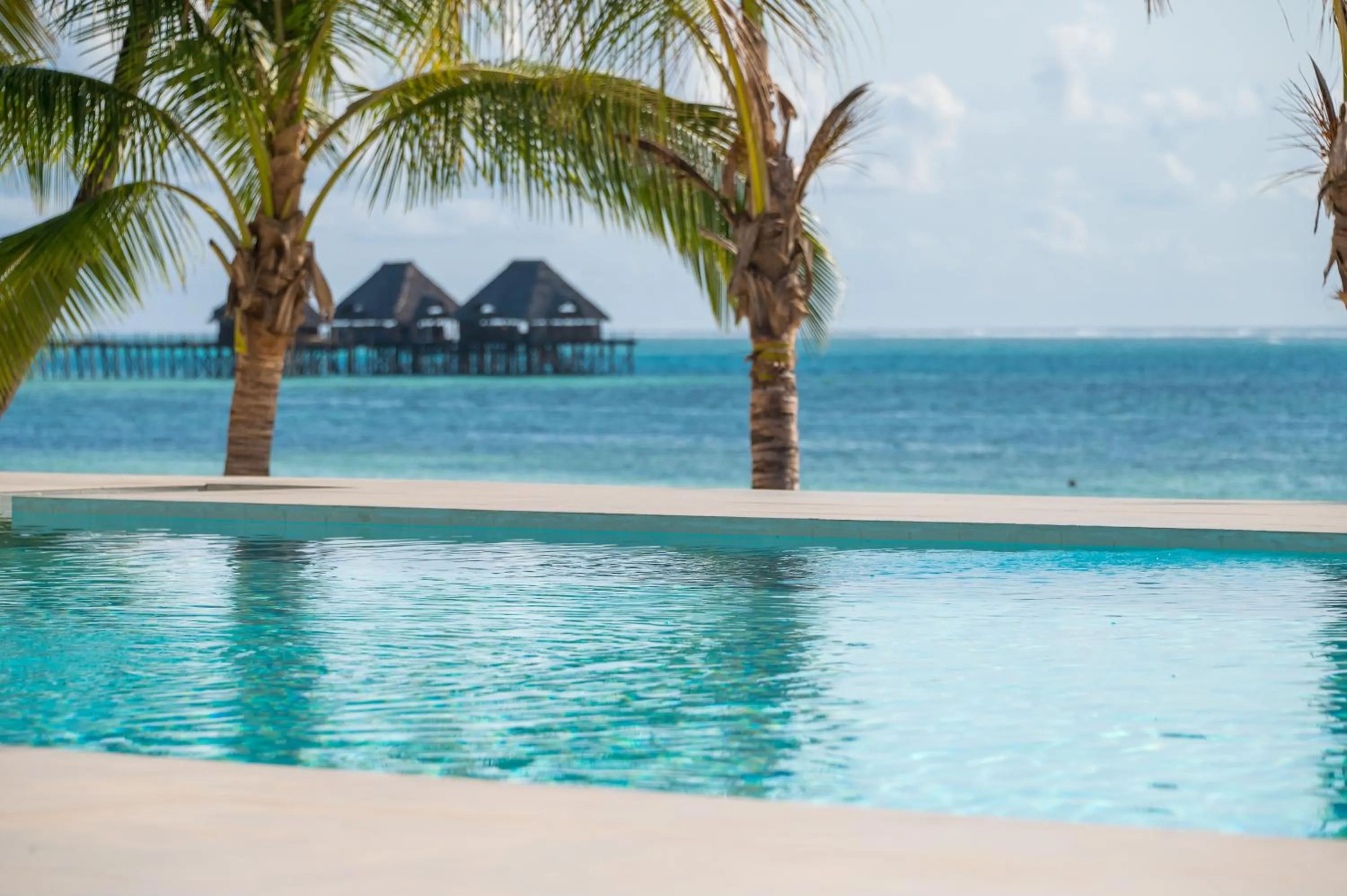 Pool view in Ocean Boutique Hotel - Adults only