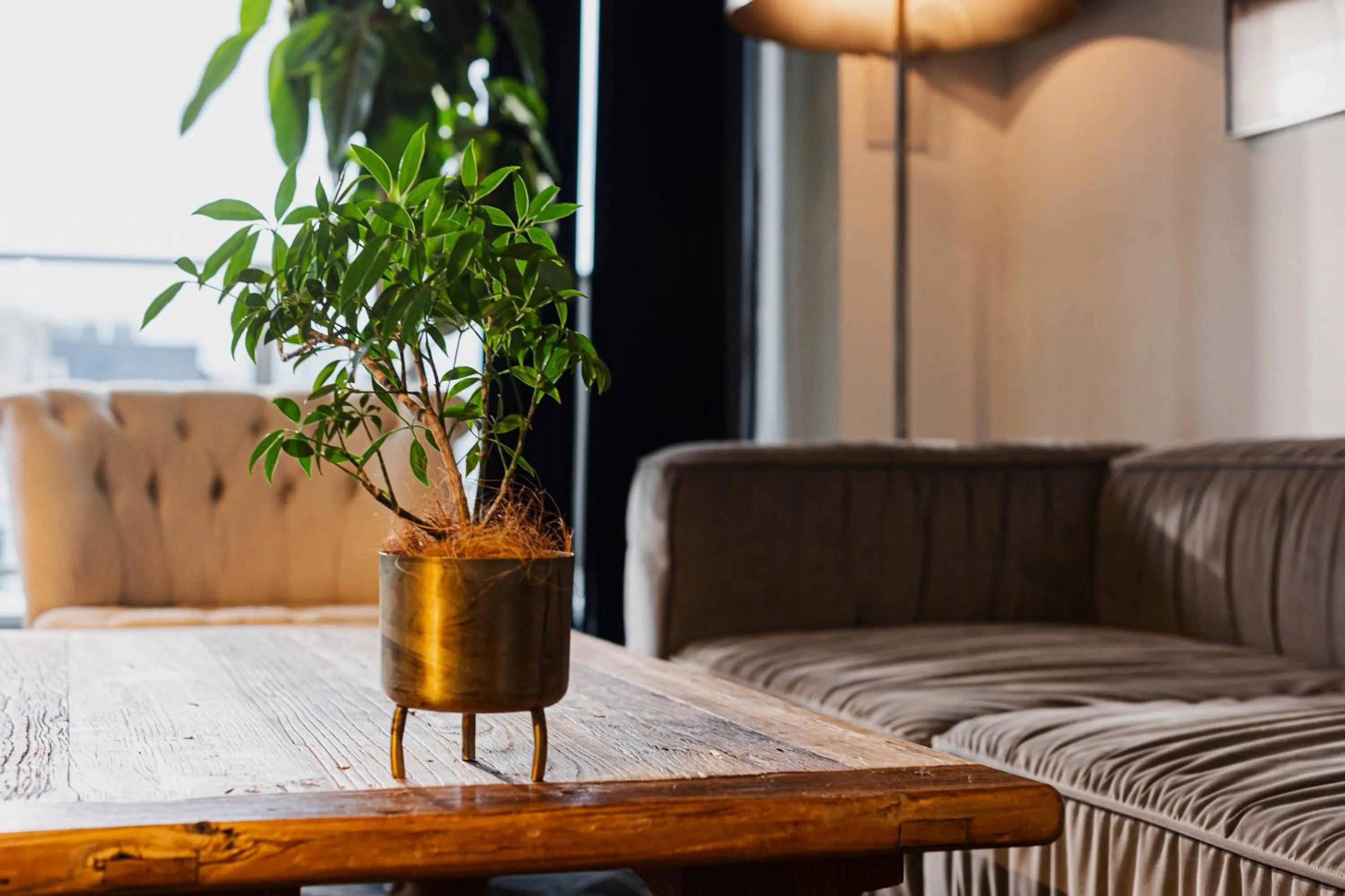 Living room in H HOTEL