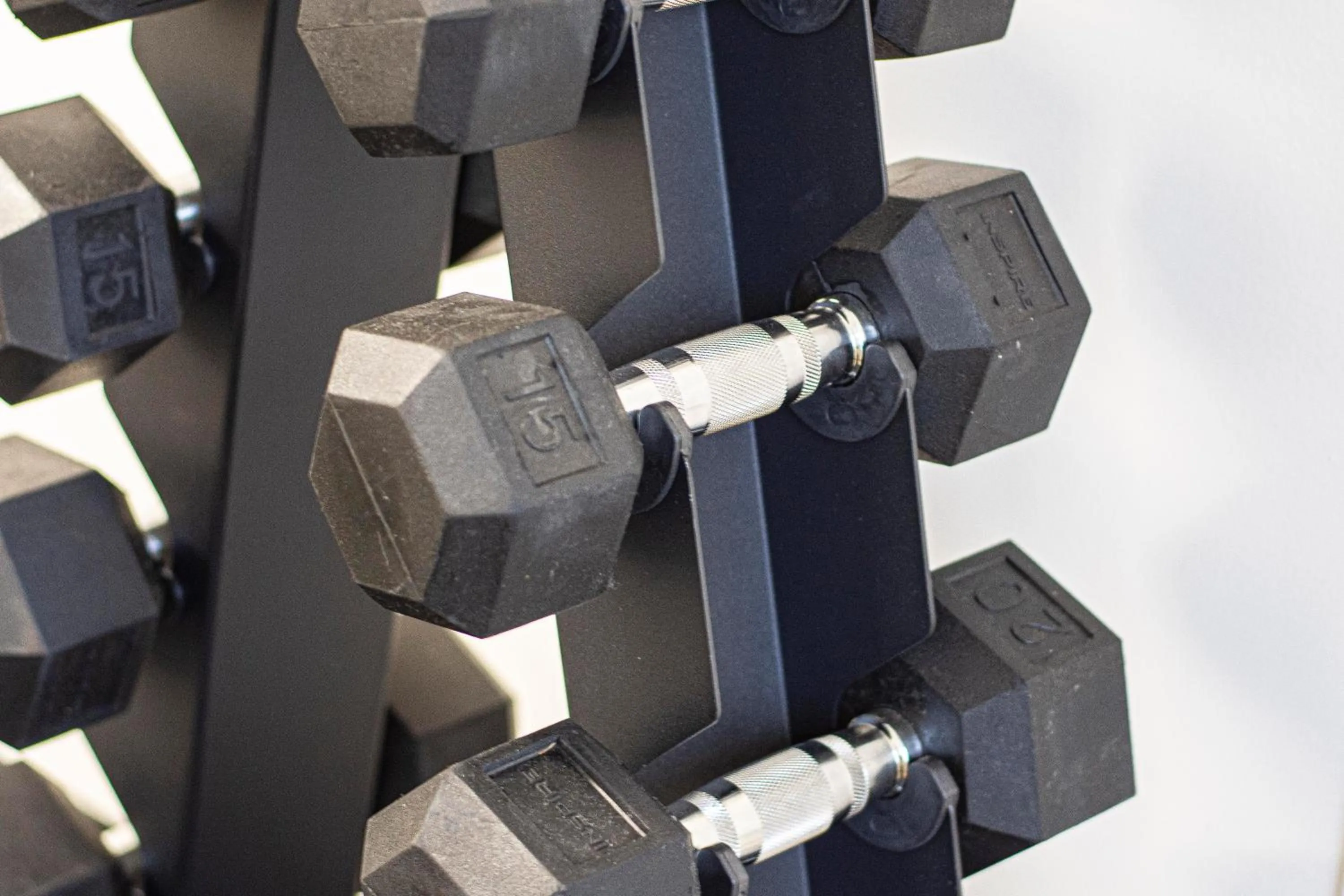 The Mallard Hotel & Suites