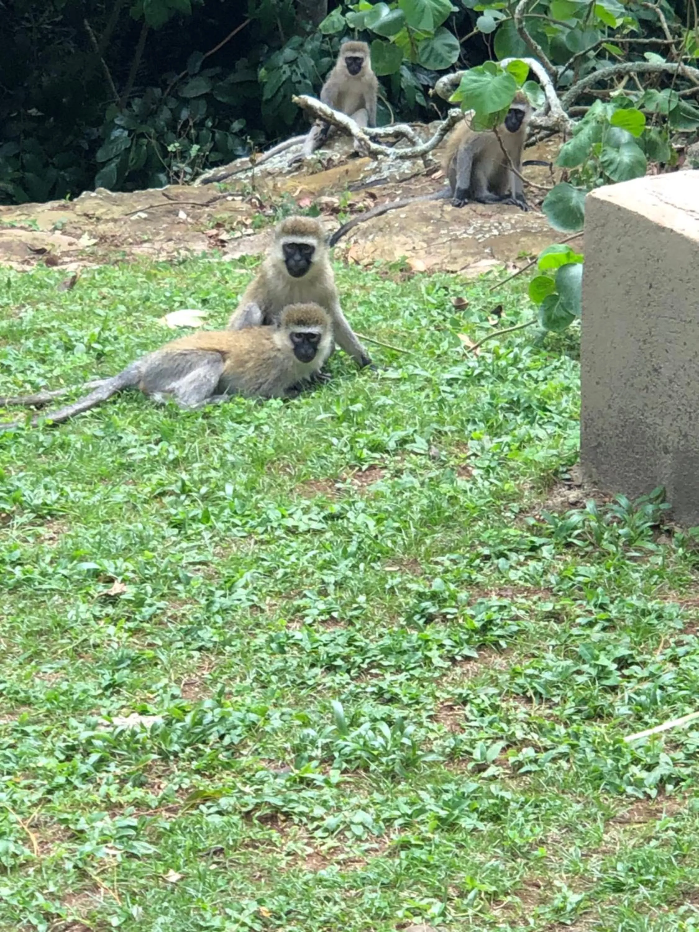 Day in The Address Resort