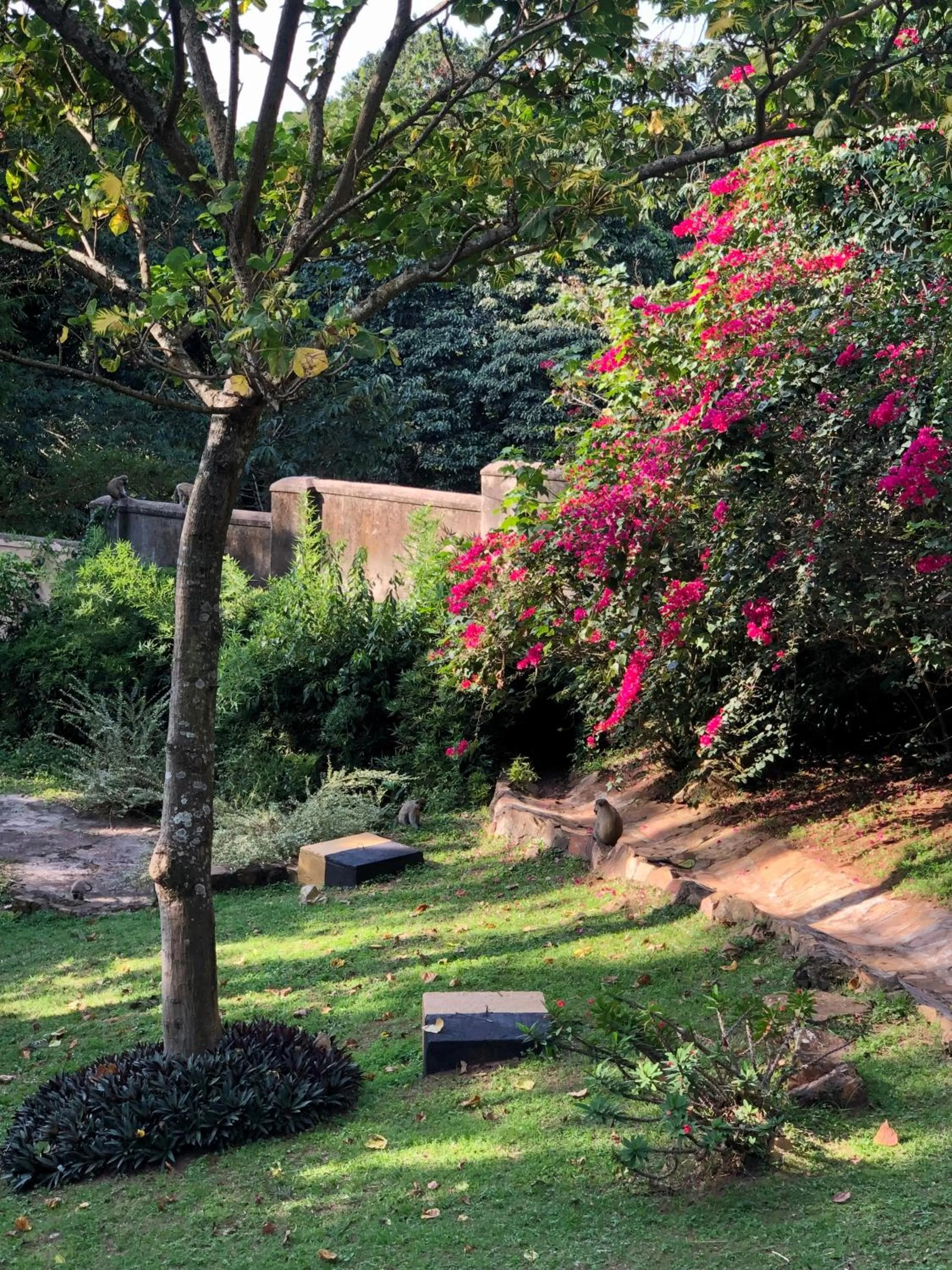 Natural landscape in The Address Resort